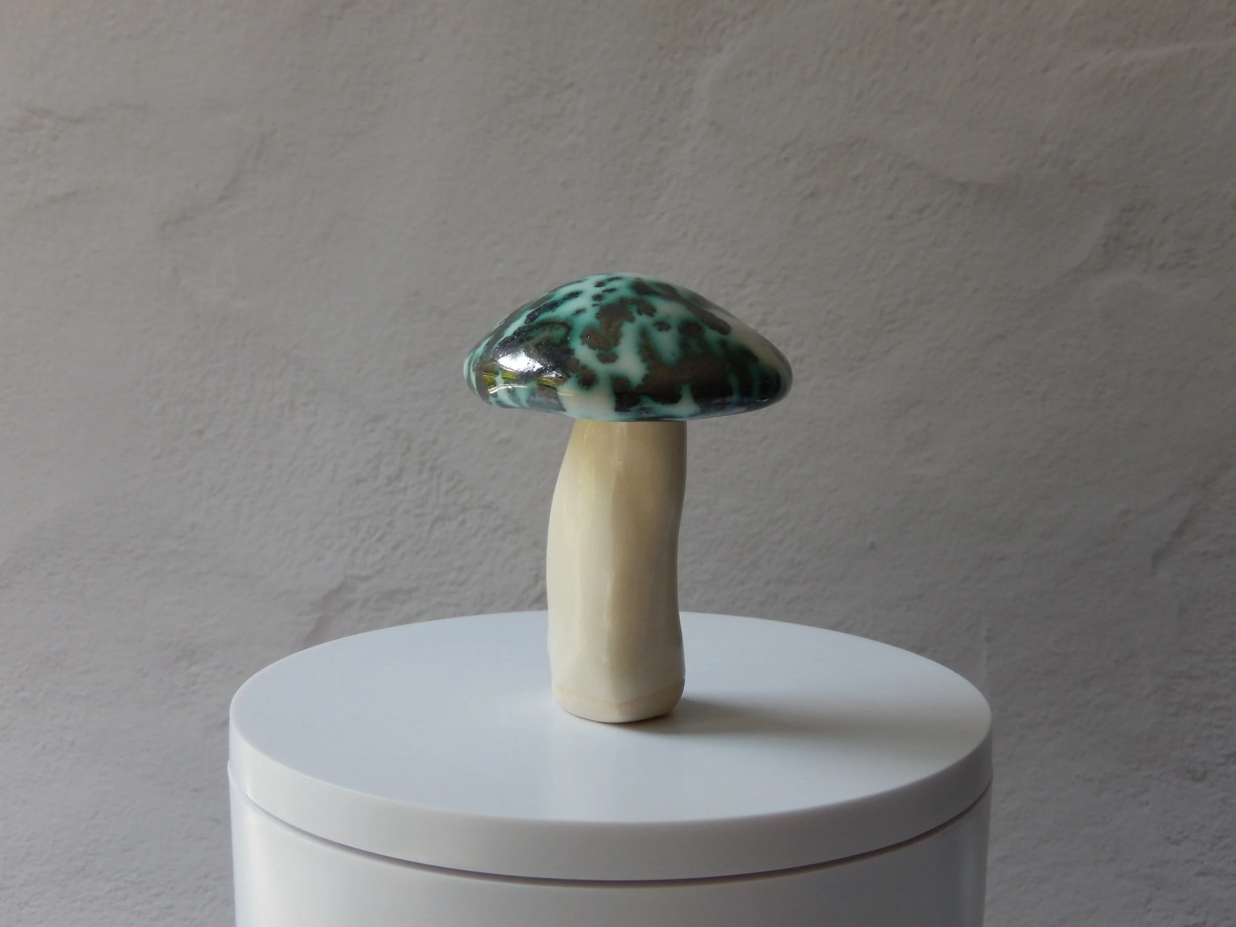 toadstool — jade