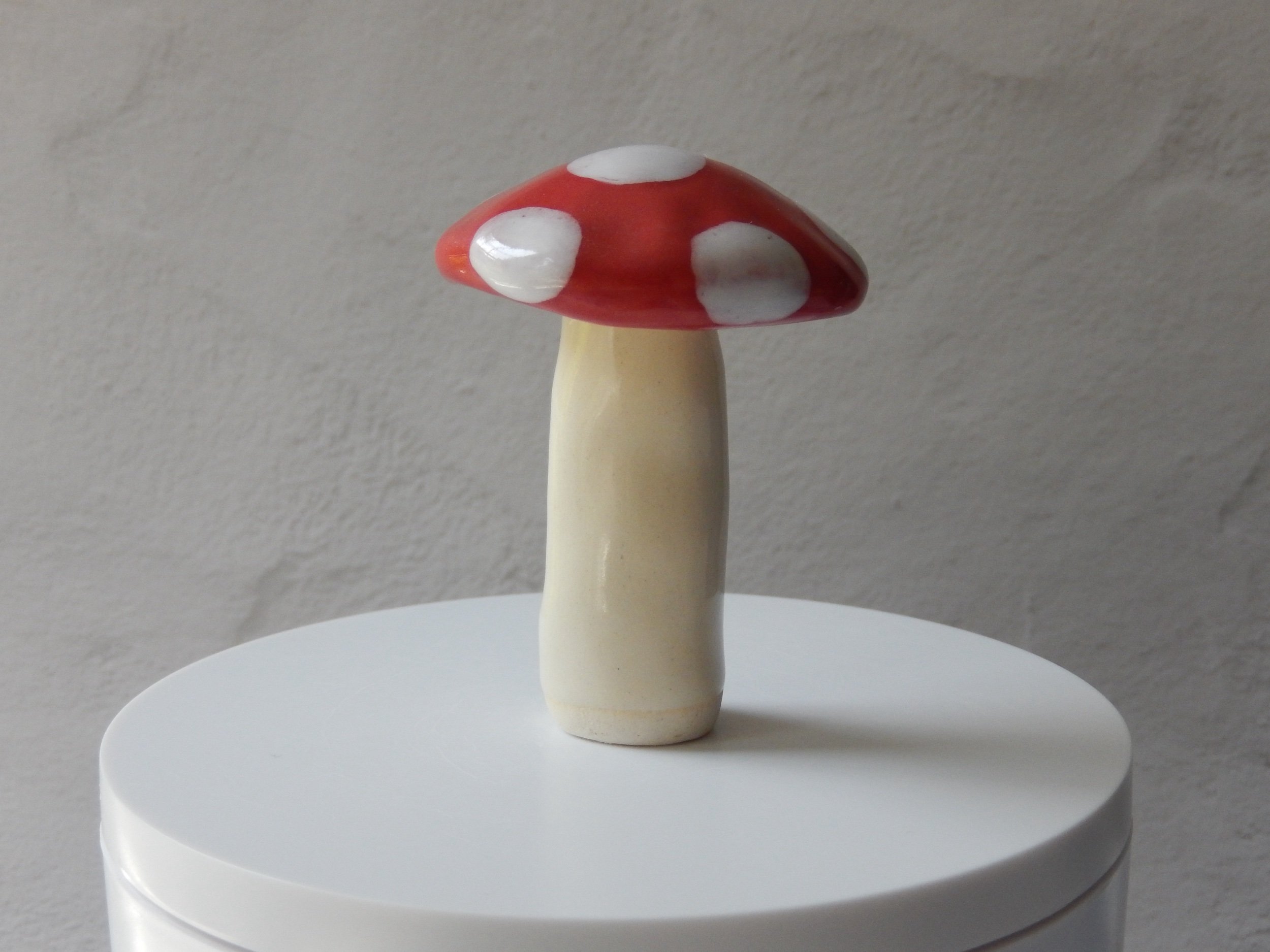 toadstool — pip