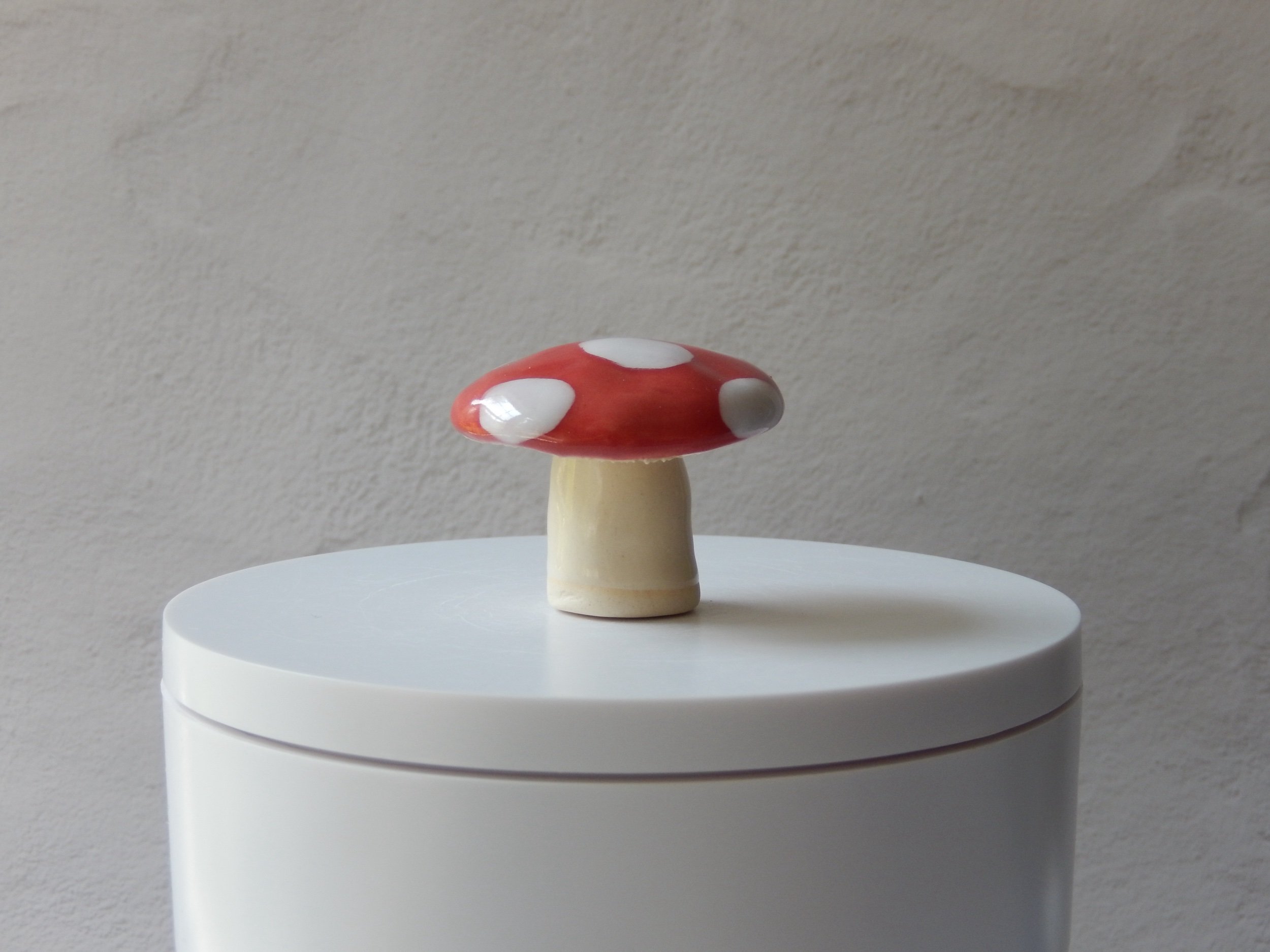 toadstool — pip