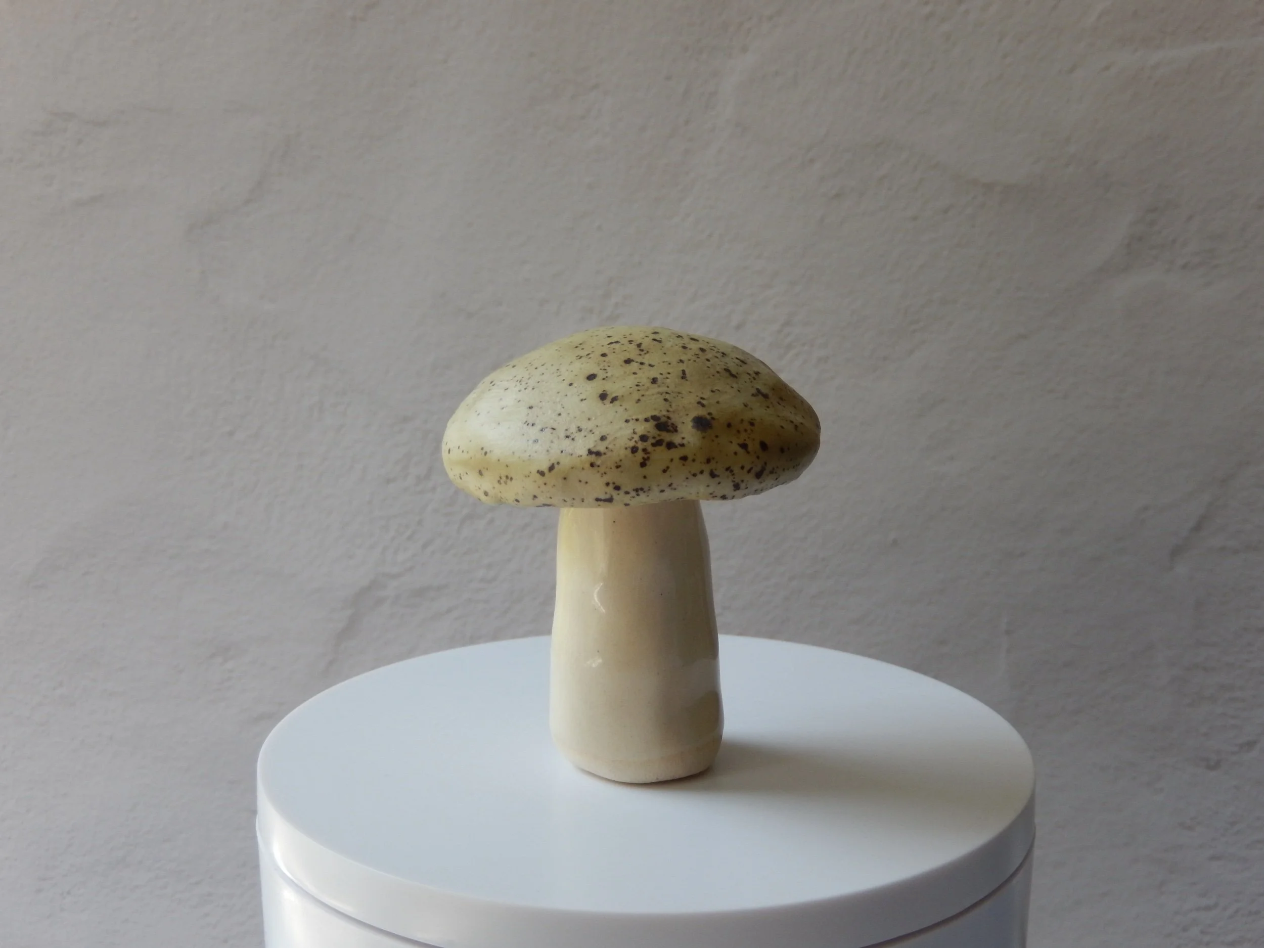 toadstool — honeydew