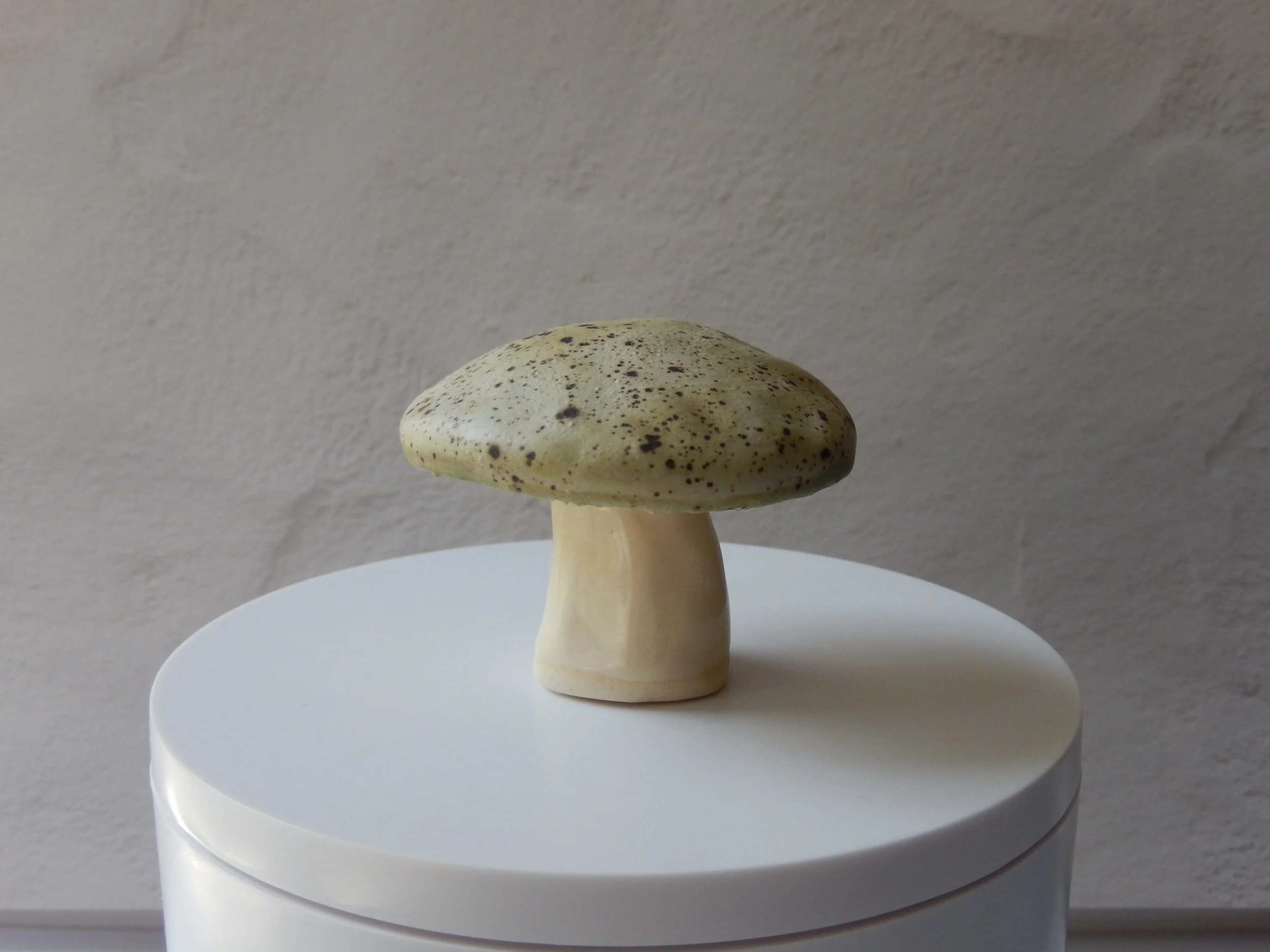 toadstool — honeydew