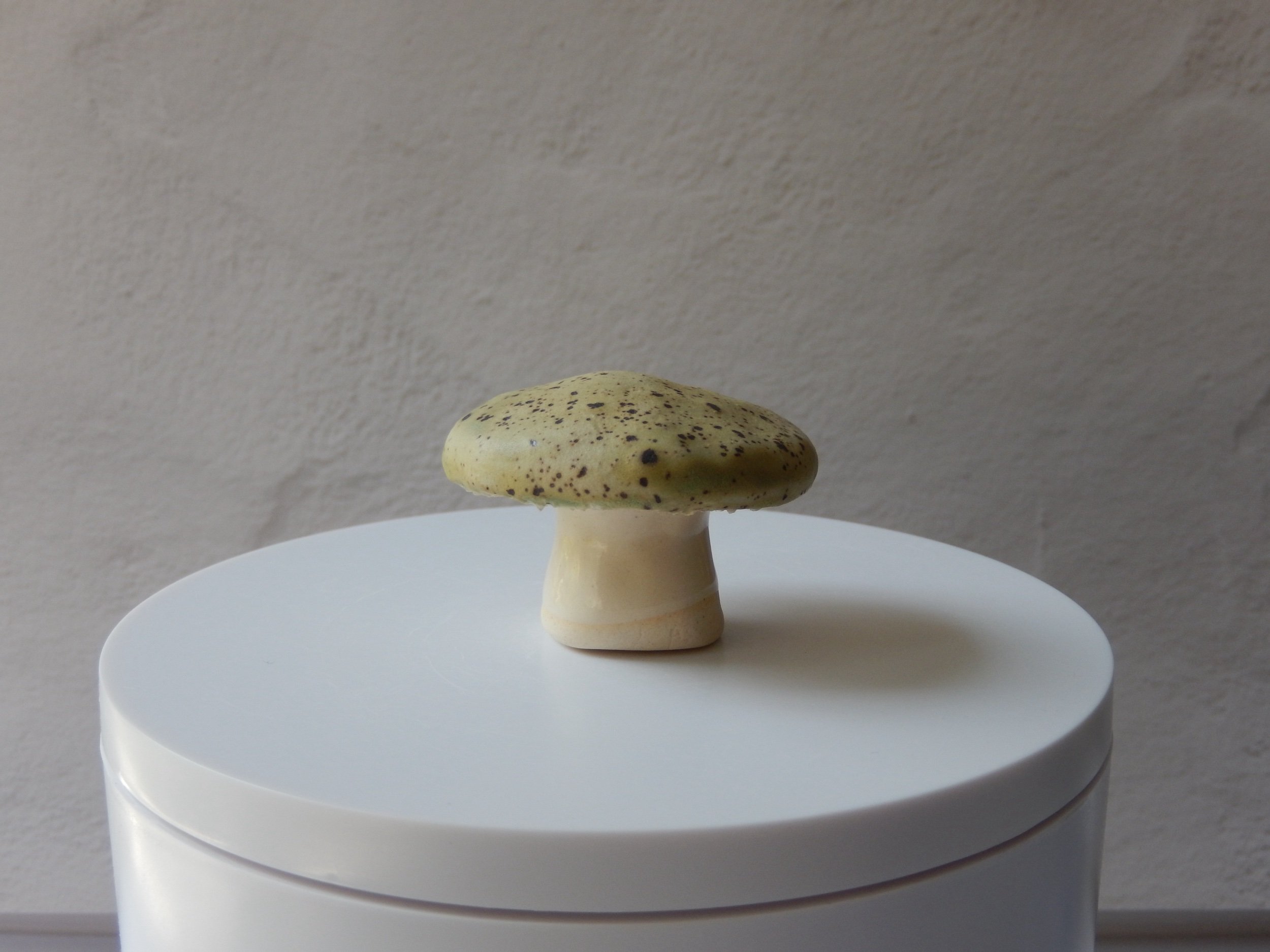 toadstool — honeydew