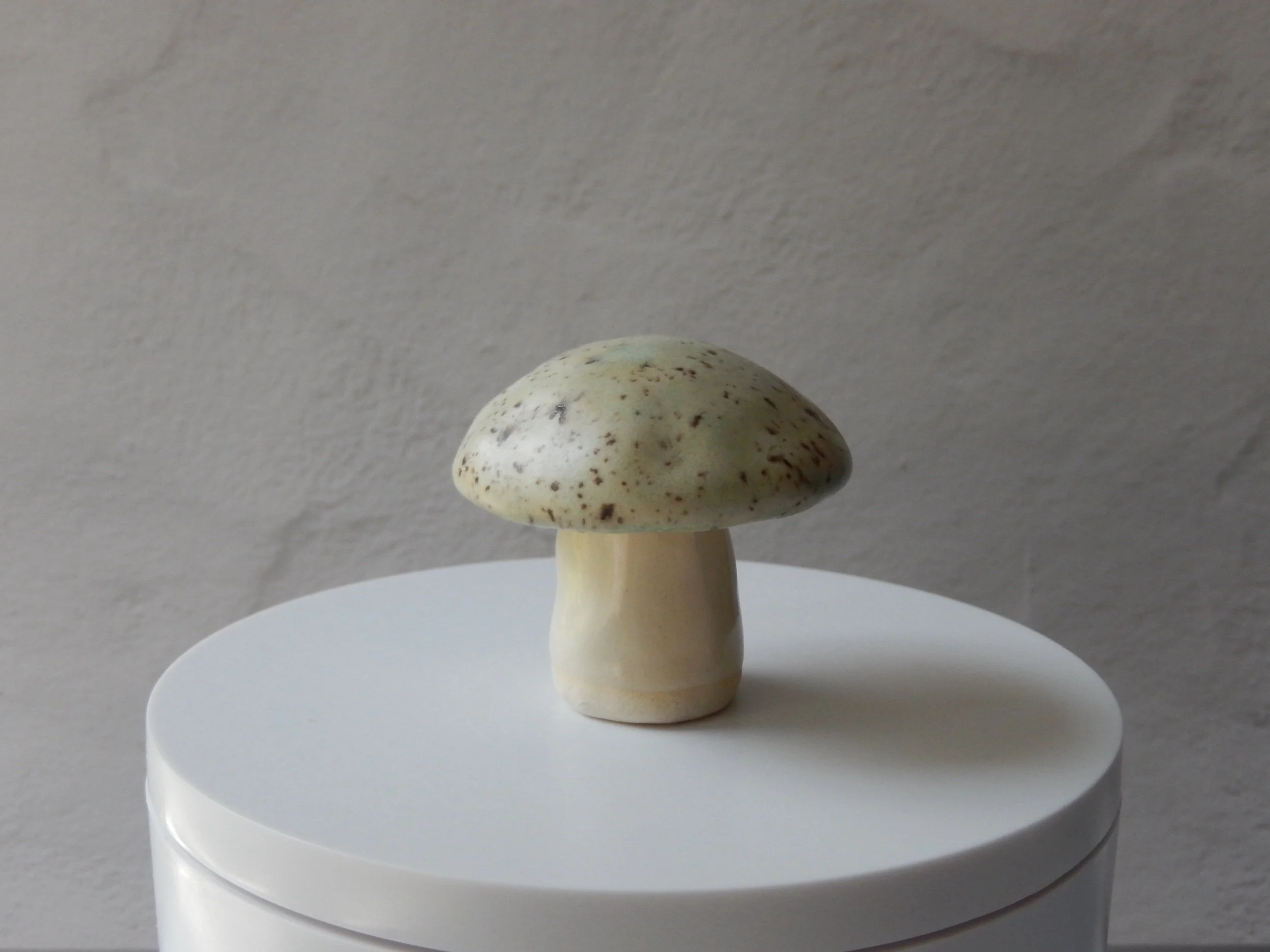toadstool — clover