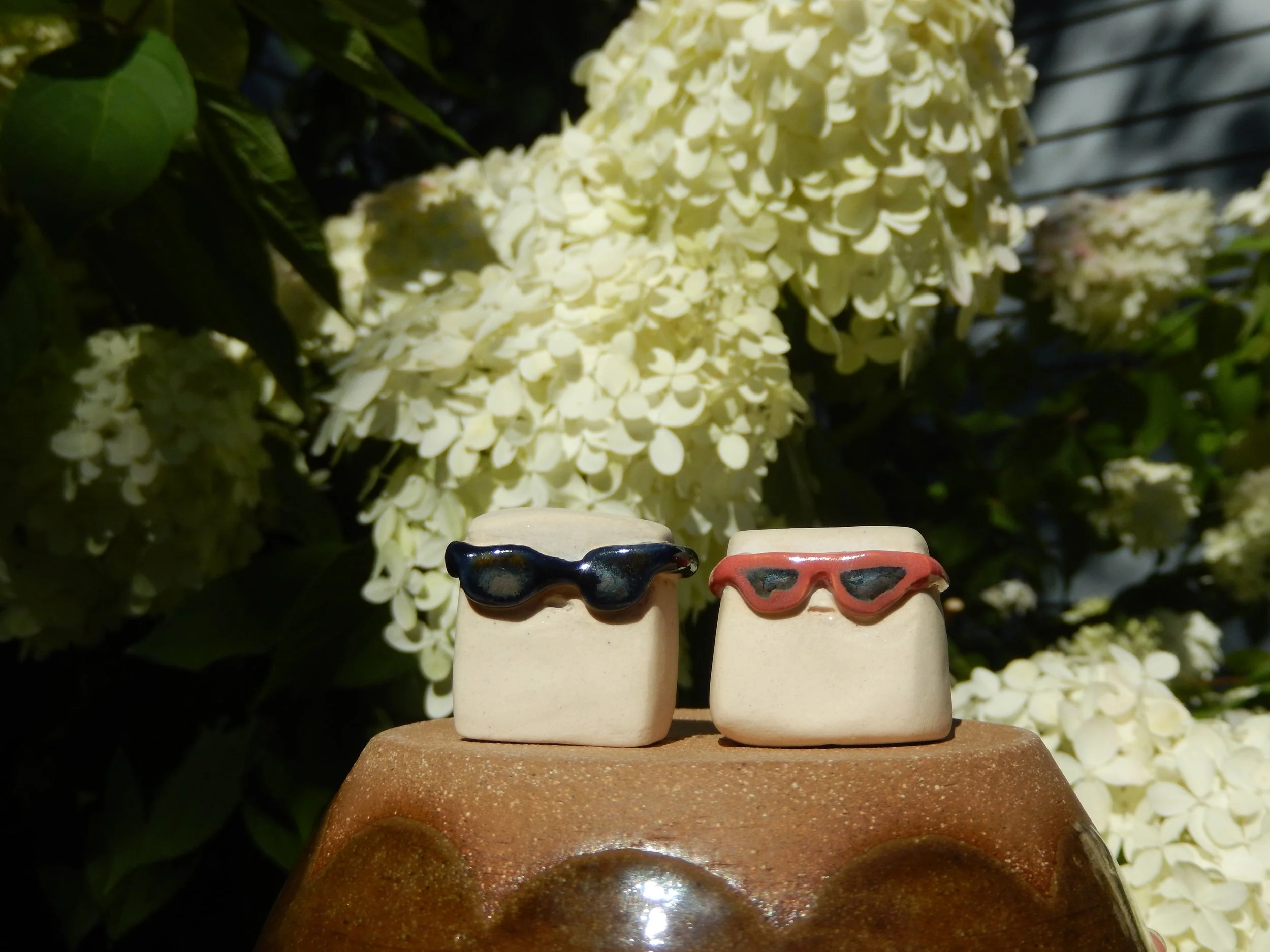 sunglasses fu — desk friend