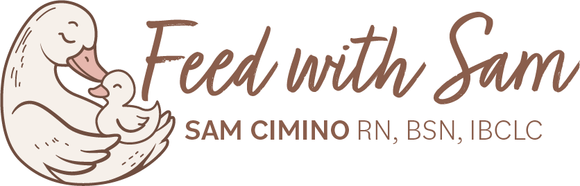 Feed with Sam - Lactation &amp; Feeding Support North of Boston