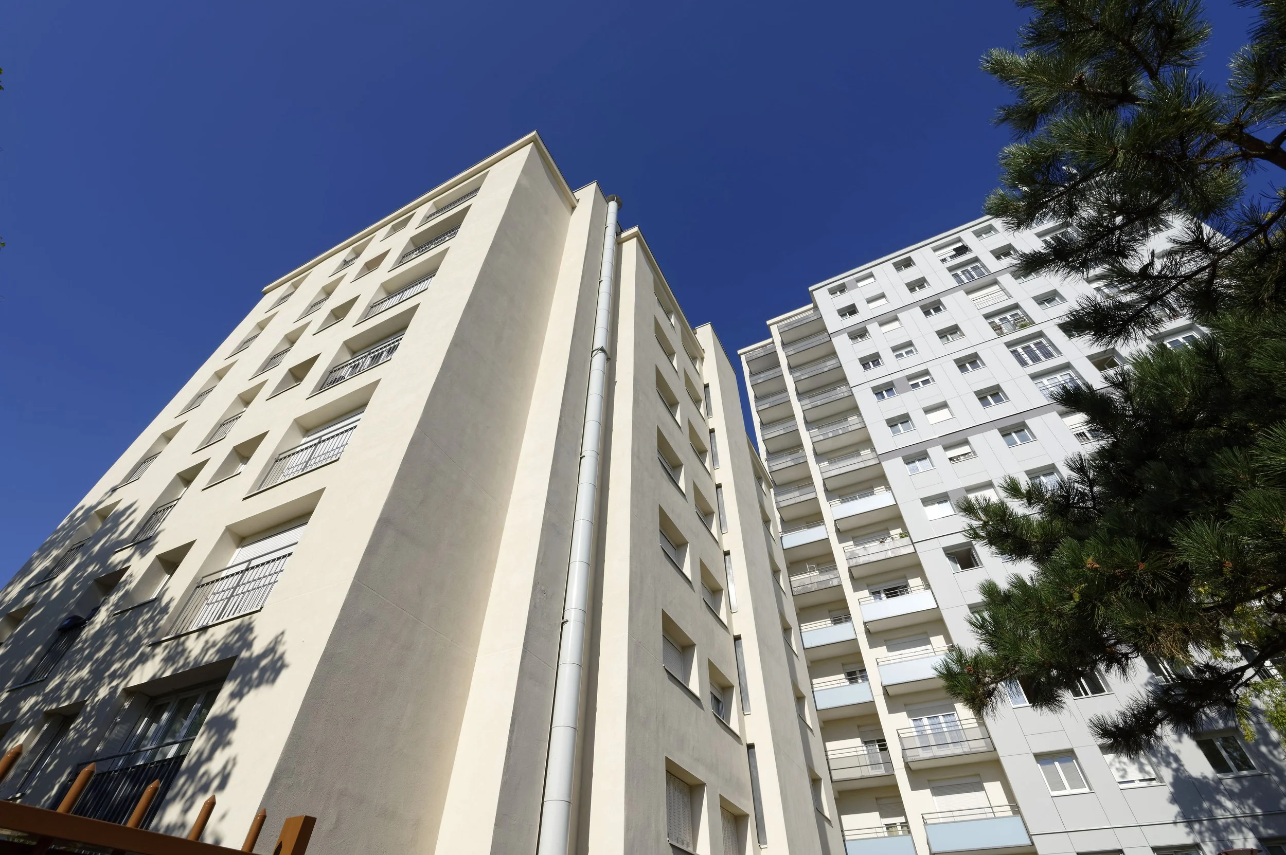 A2508-Noisy-Michelet-019.JPG