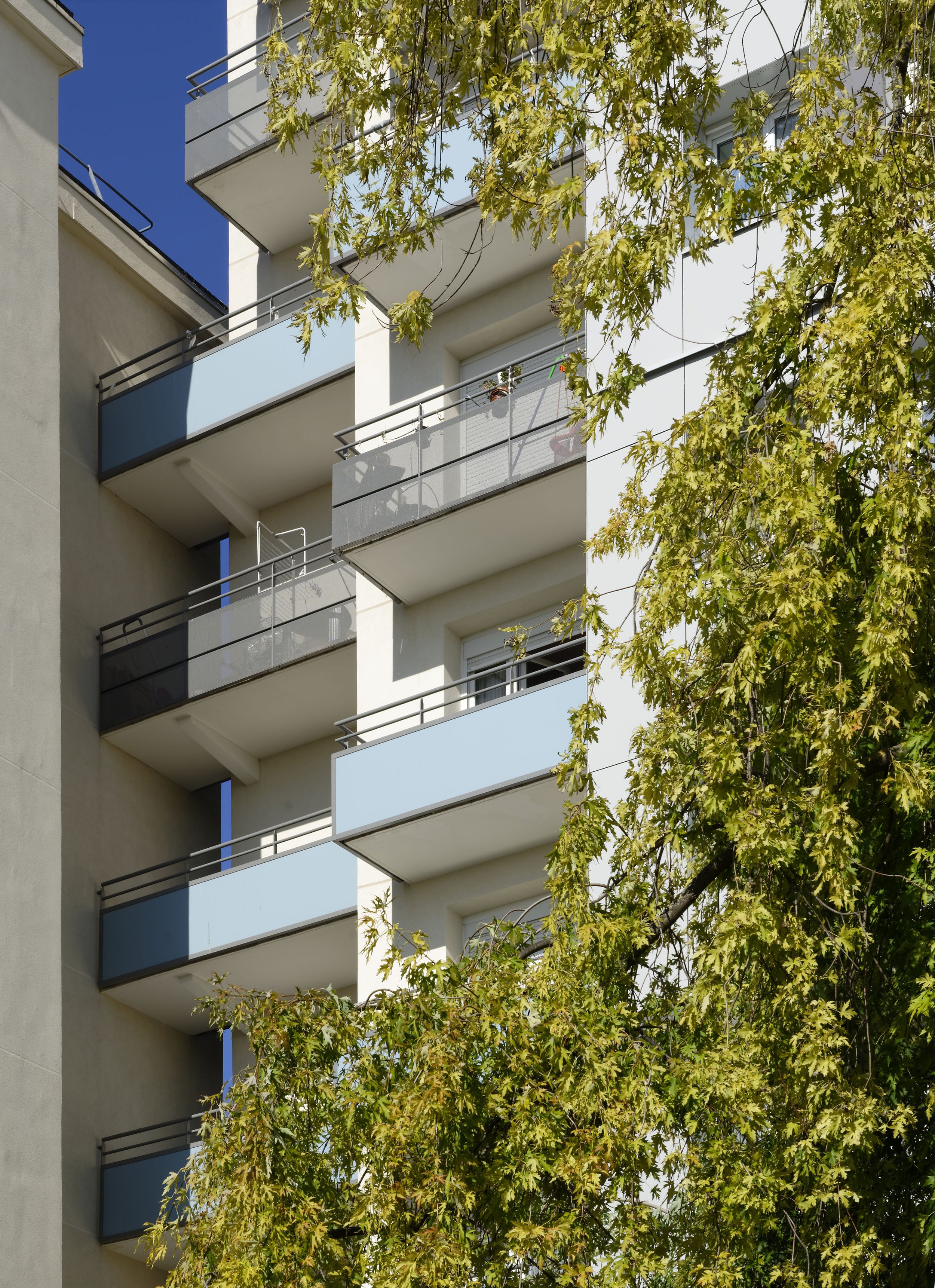 A2508-Noisy-Michelet-031.JPG
