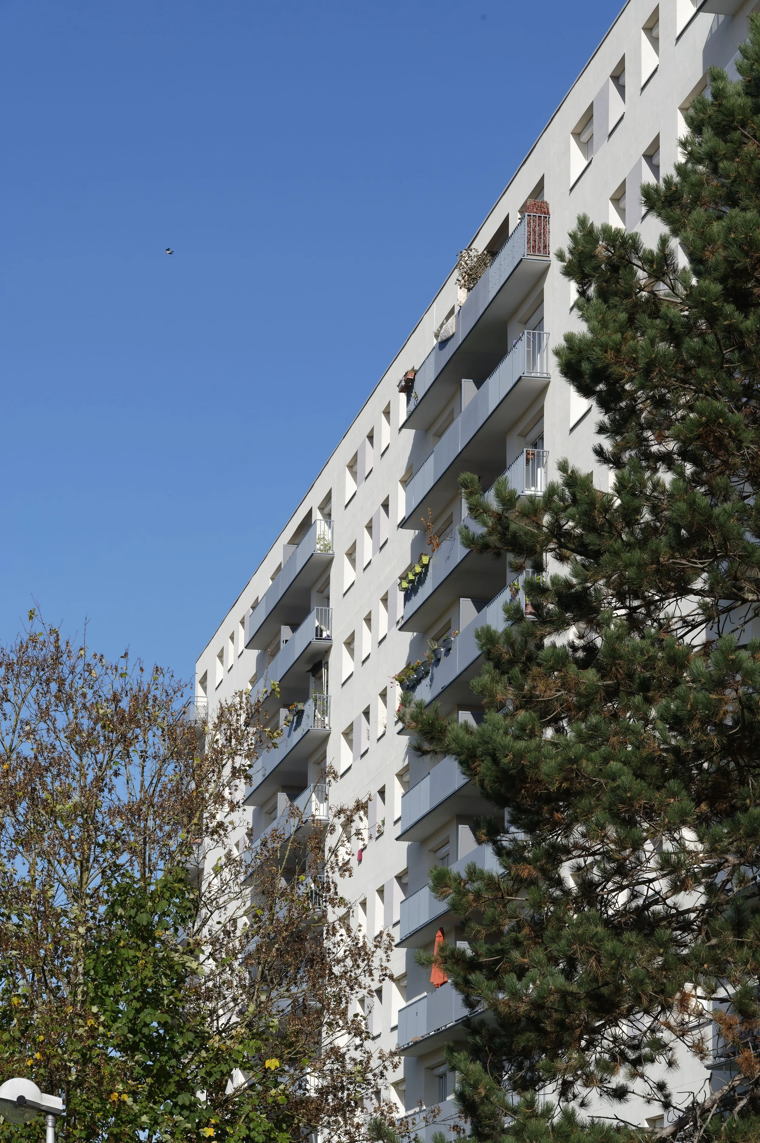 A2691-Meudon-IRP-013.JPG