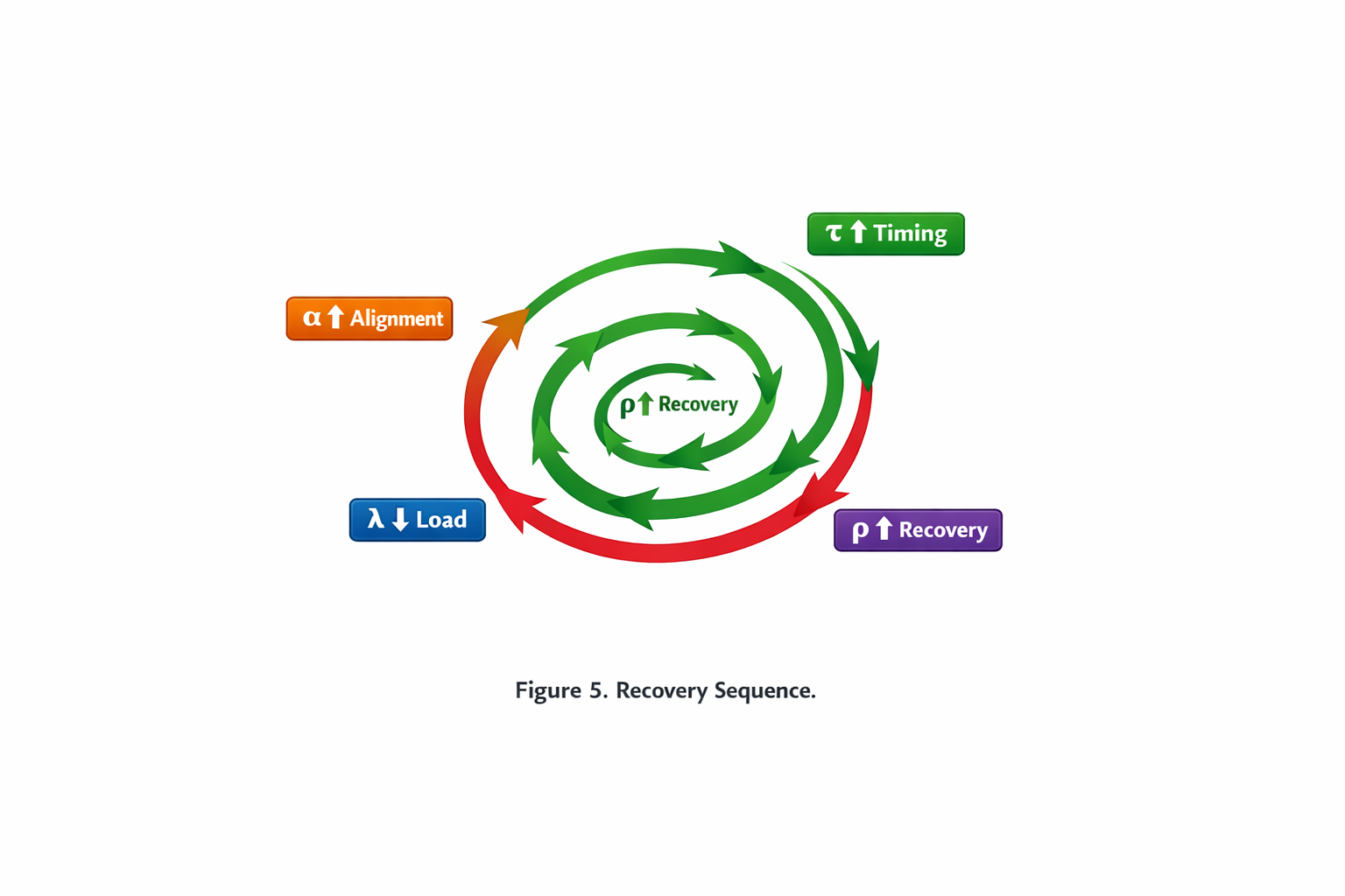 Diagram showing a recovery sequence with arrows forming spirals in green and red, labeled with increased or decreased values for load, recovery, timing, and alignment.