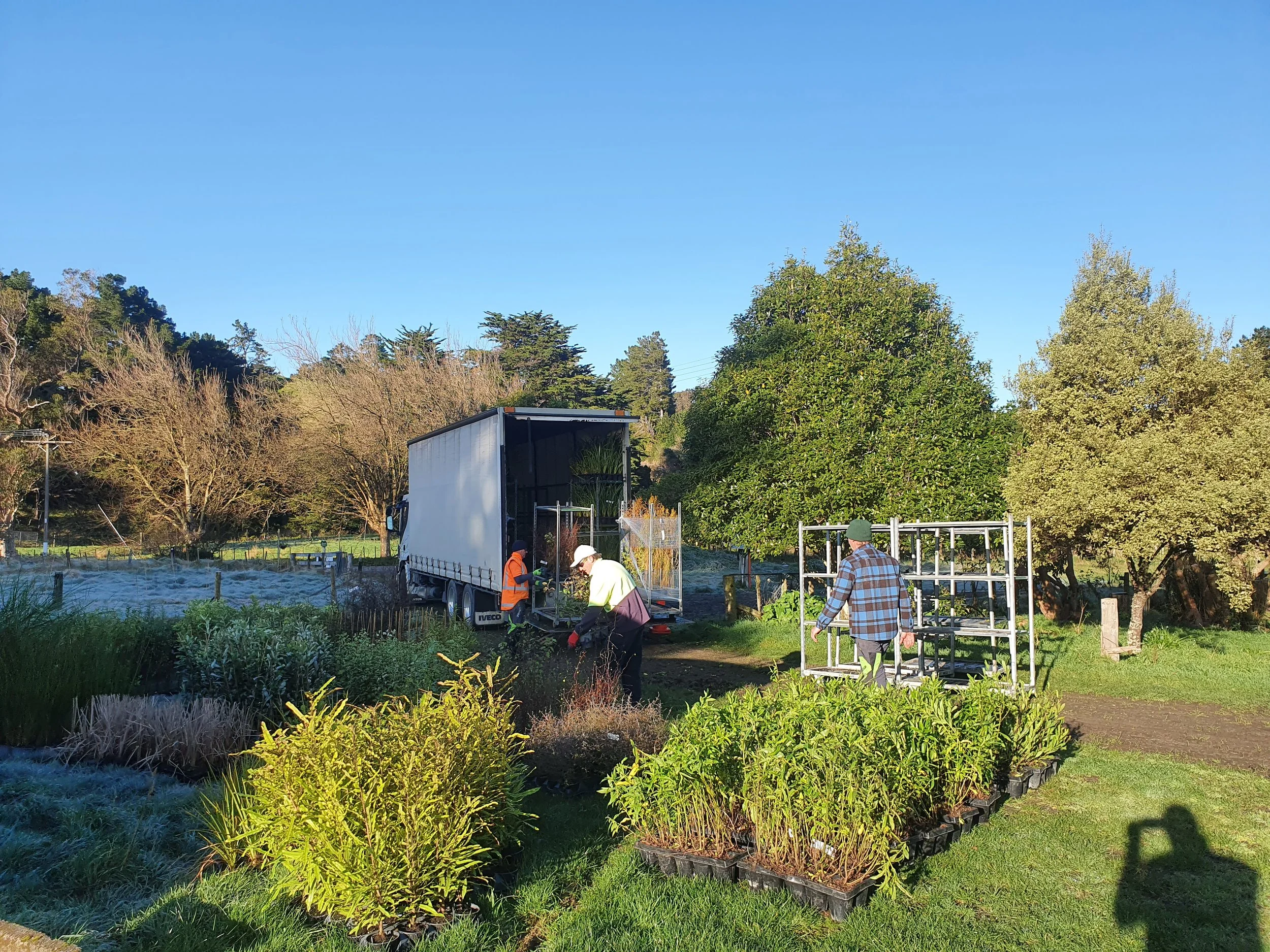 People working in a garden or farm, planting and tending to plants, with trees and a truck in the background on a clear day.