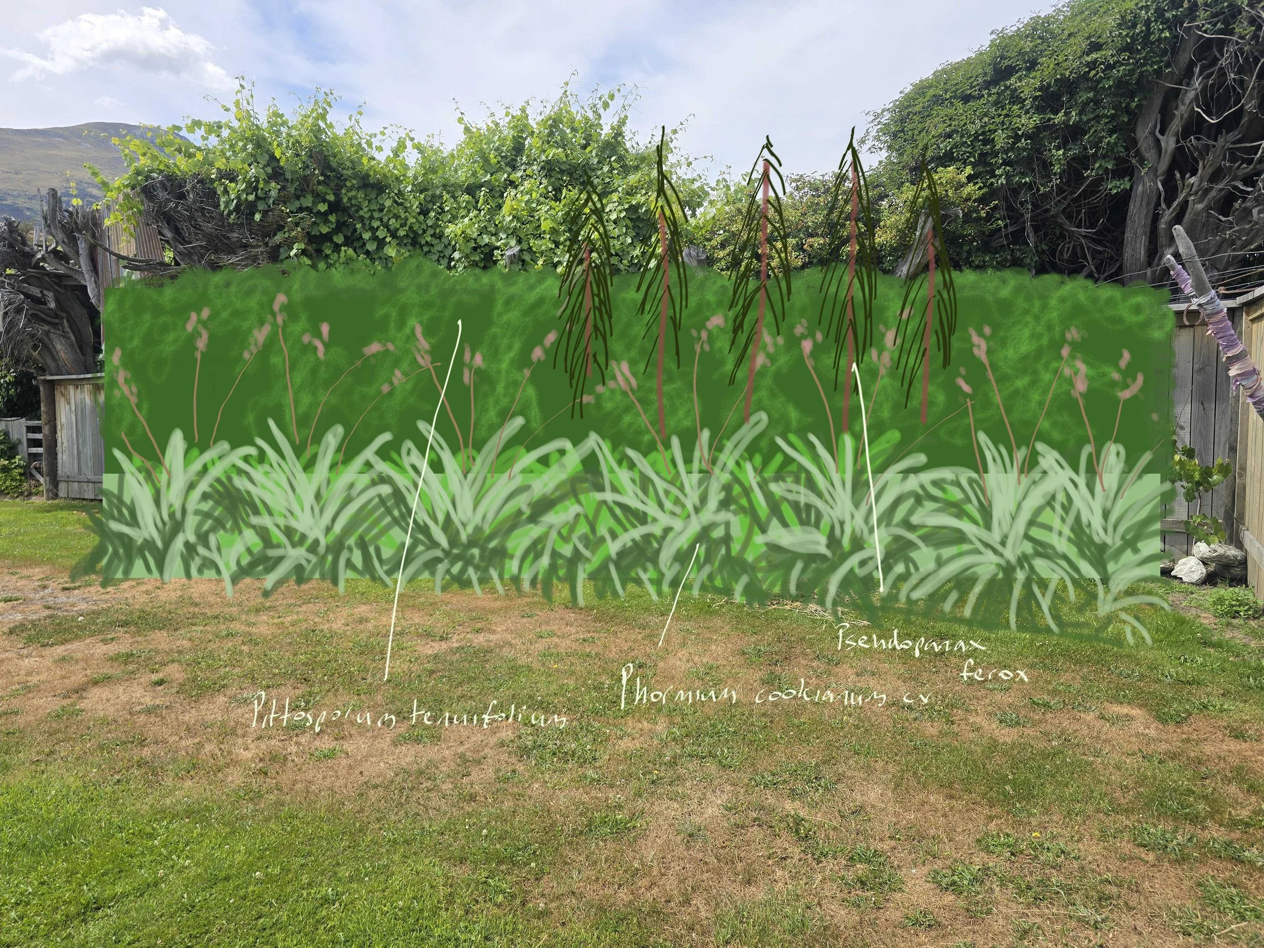 Jessie fence line.jpg