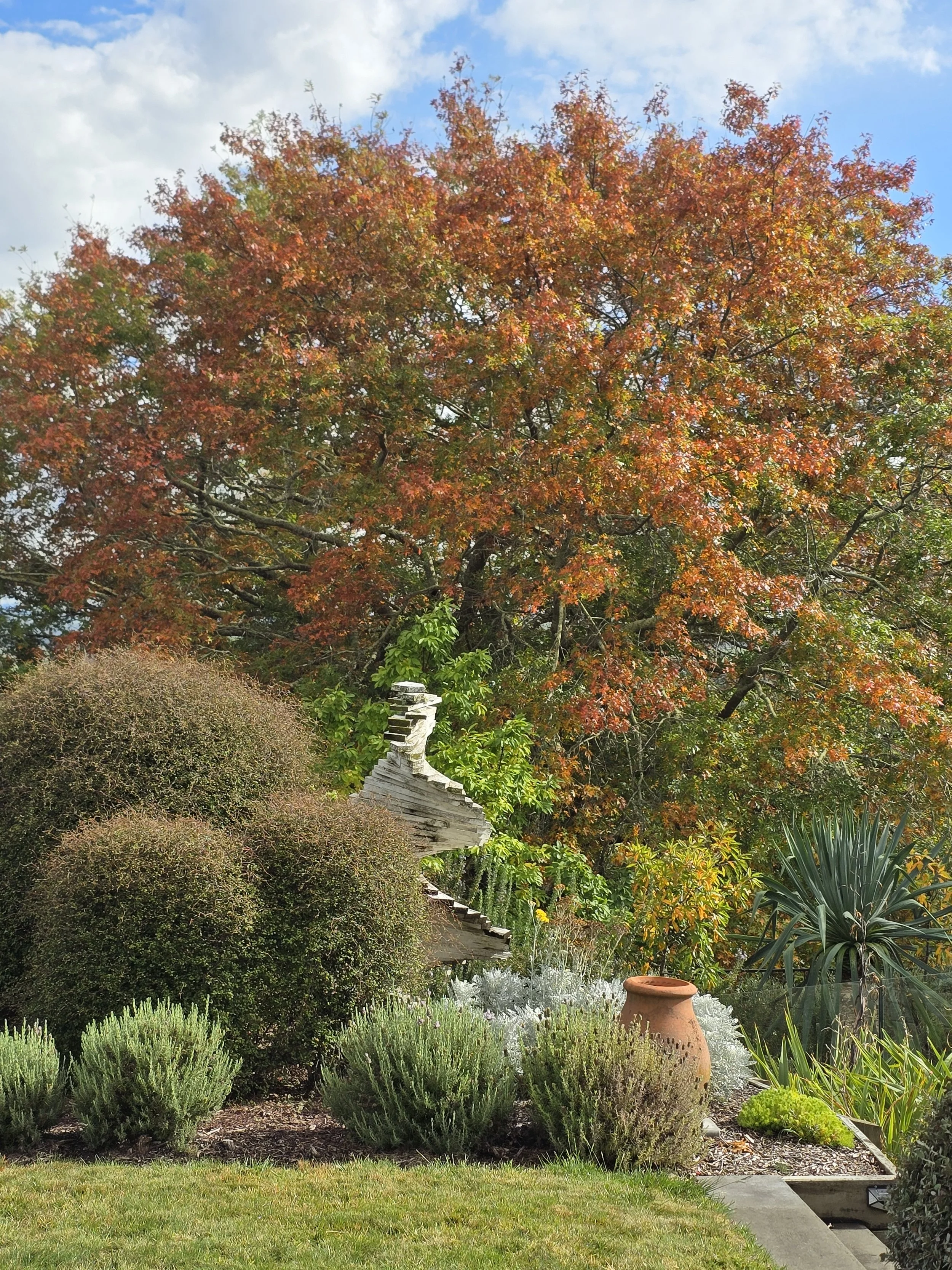 A colorful garden scene with various shrubs, a large tree with orange leaves, and a terracotta pot, under a partly cloudy sky.
