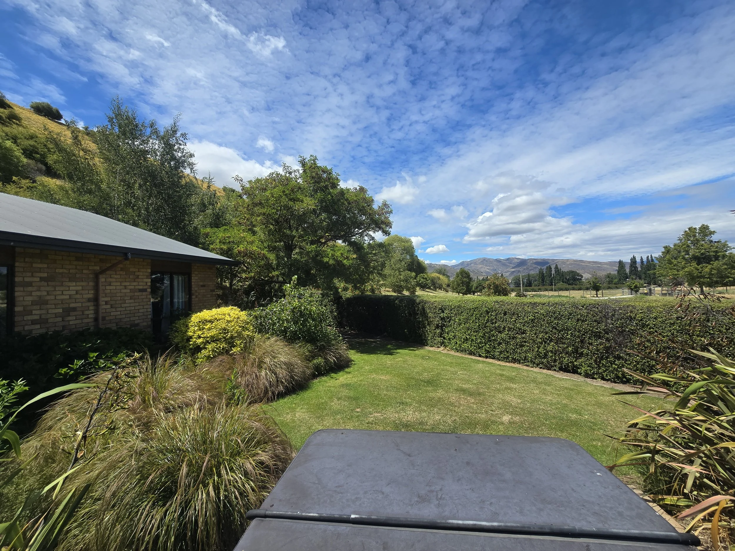 A backyard with green grass, various bushes and trees, a house with a metal roof on the left, and a distant view of mountains under a partly cloudy sky.