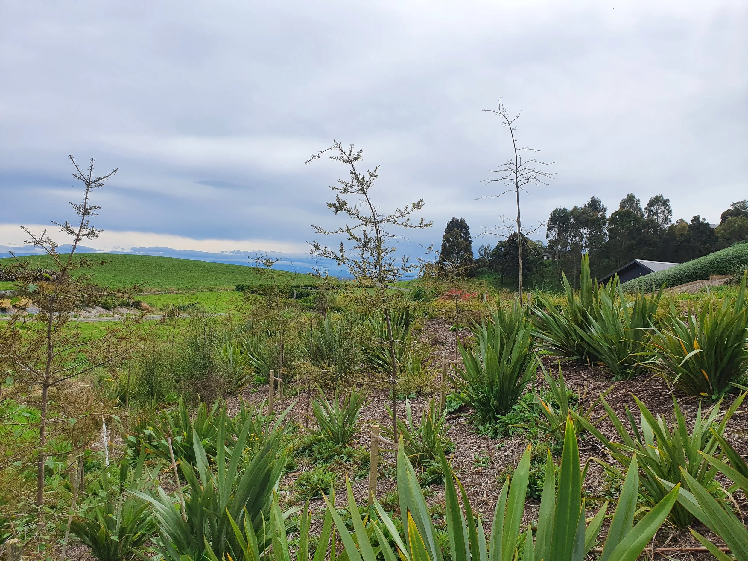 View of a landscape with green fields, sparse trees, and a cloudy sky