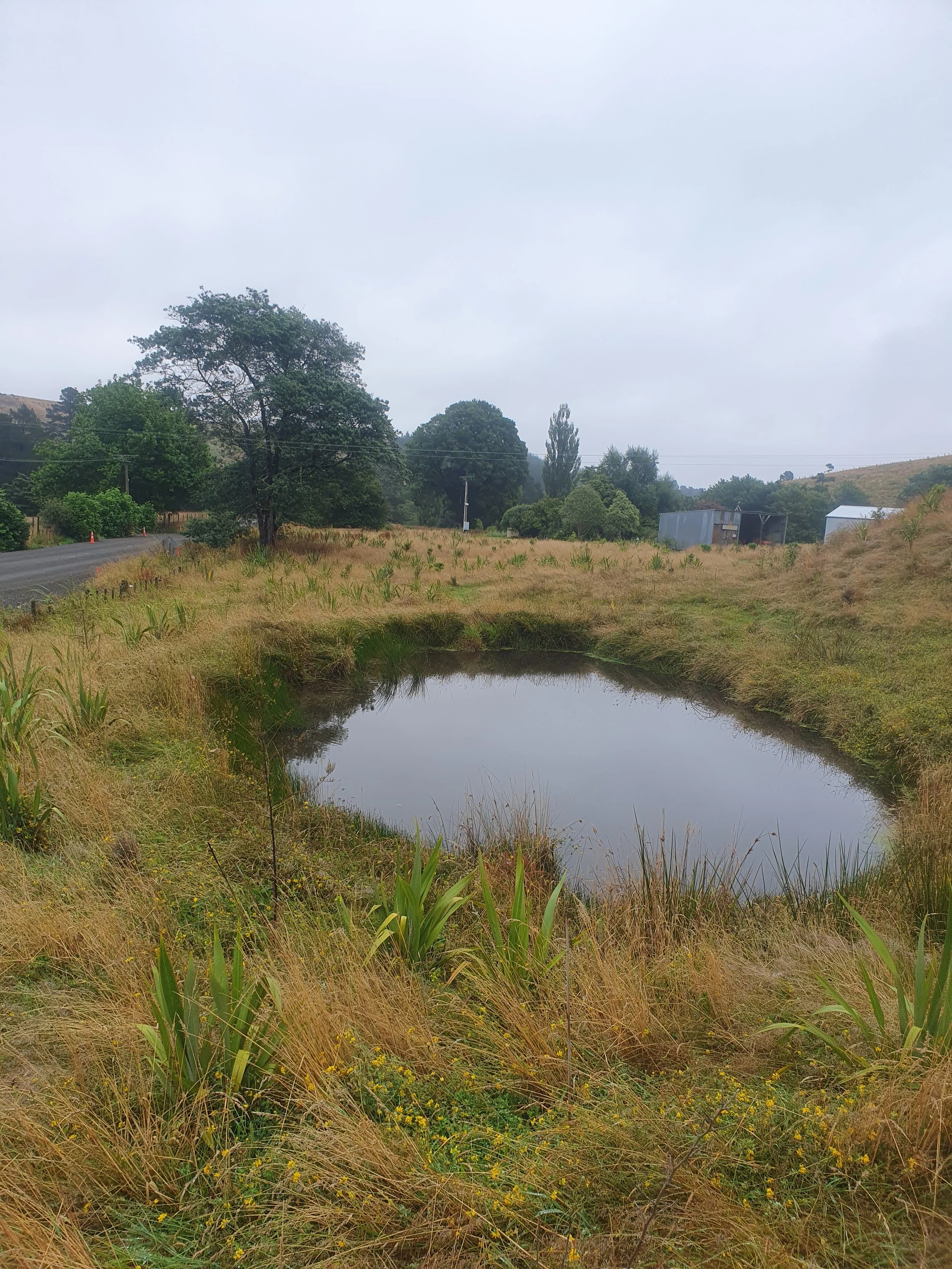 A rural landscape with a small pond in the foreground, grassy fields, trees, and farm buildings under an overcast sky.