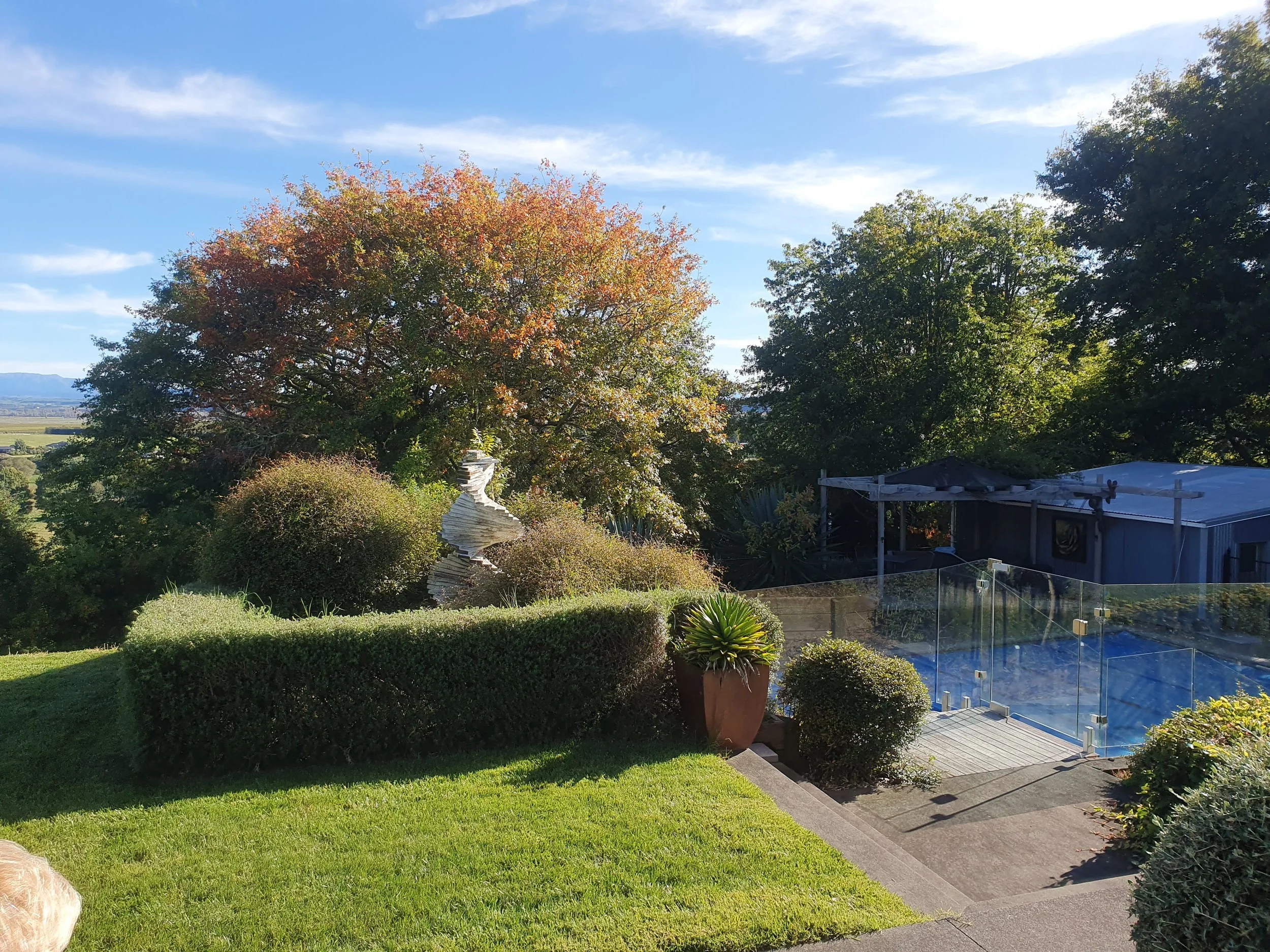 A backyard scene with a lush green lawn, a variety of bushes, and a large tree with autumn-colored leaves in the background. There is a modern building with a gray exterior, glass fencing, and a patio area with potted plants. The sky is partly cloudy