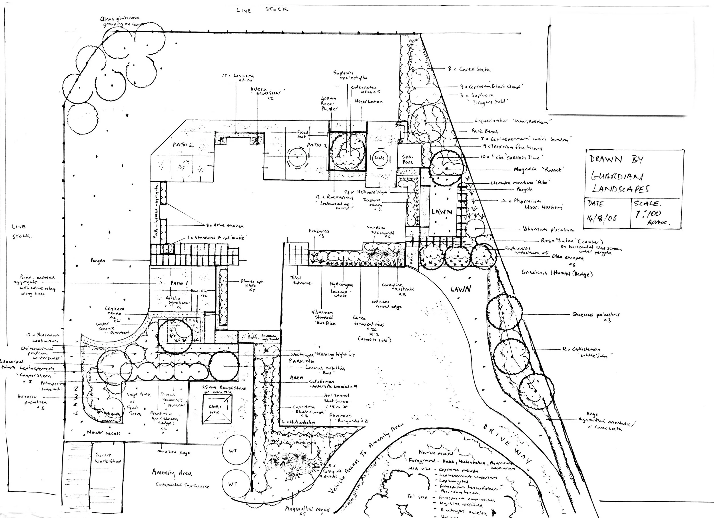 plan 1.jpg
