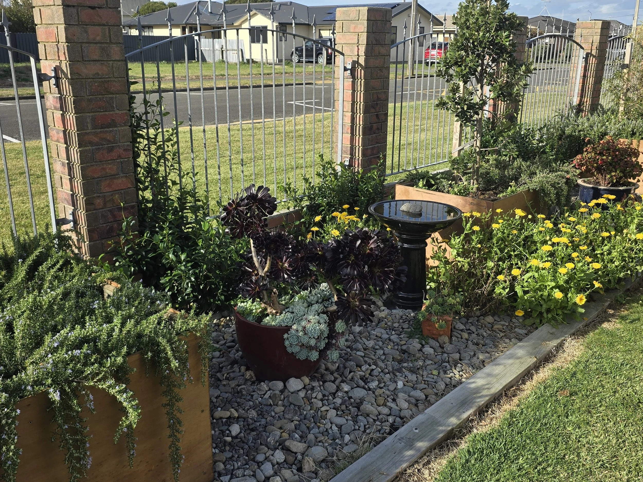 A small garden area with potted plants and a birdbath, enclosed by a brick and metal fence. There are flowering plants, shrubs, and a small tree with a textured trunk, surrounded by gravel and bordered by wooden planks. In the background, a street wi