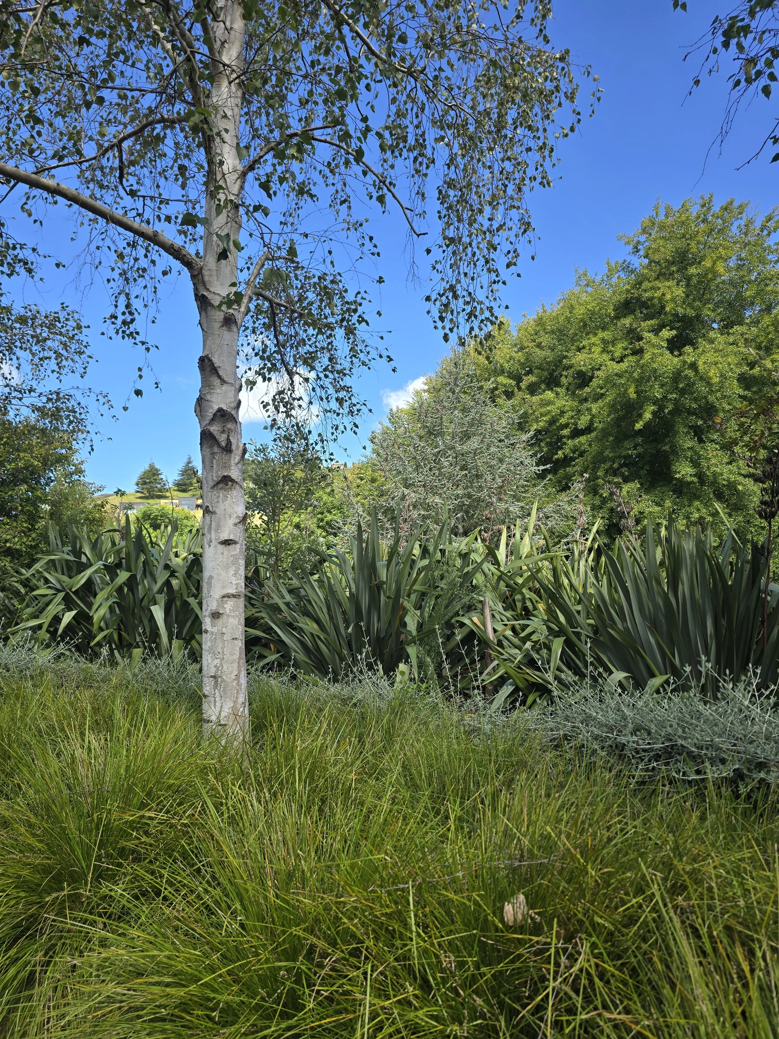 A lush green garden with tall trees, dense bushes, and green grass under a bright blue sky with a few clouds.