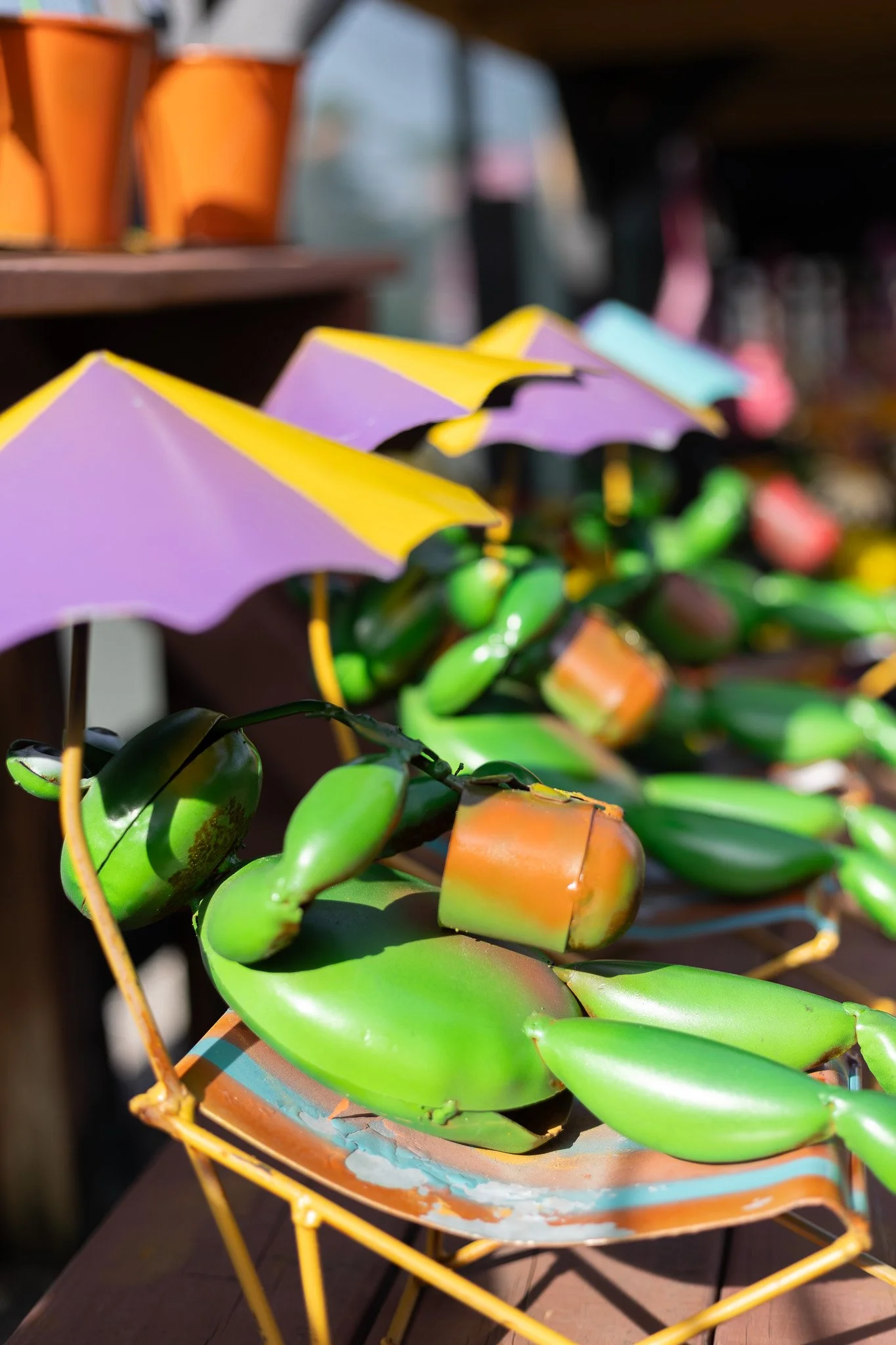 1X6A2773.jpg