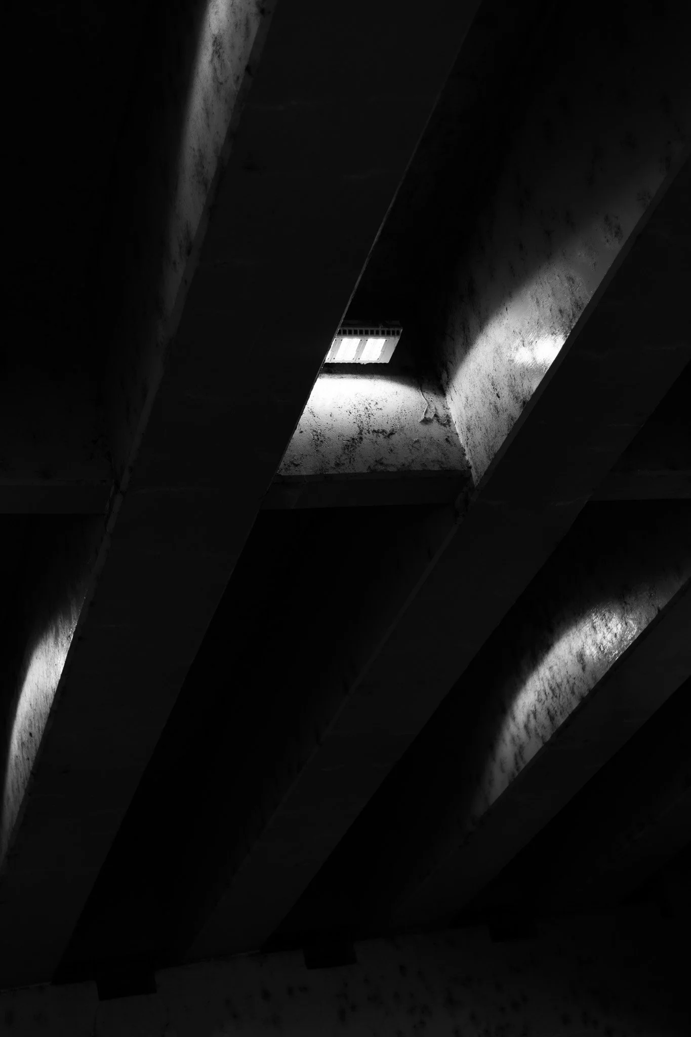 1X6A3223.jpg