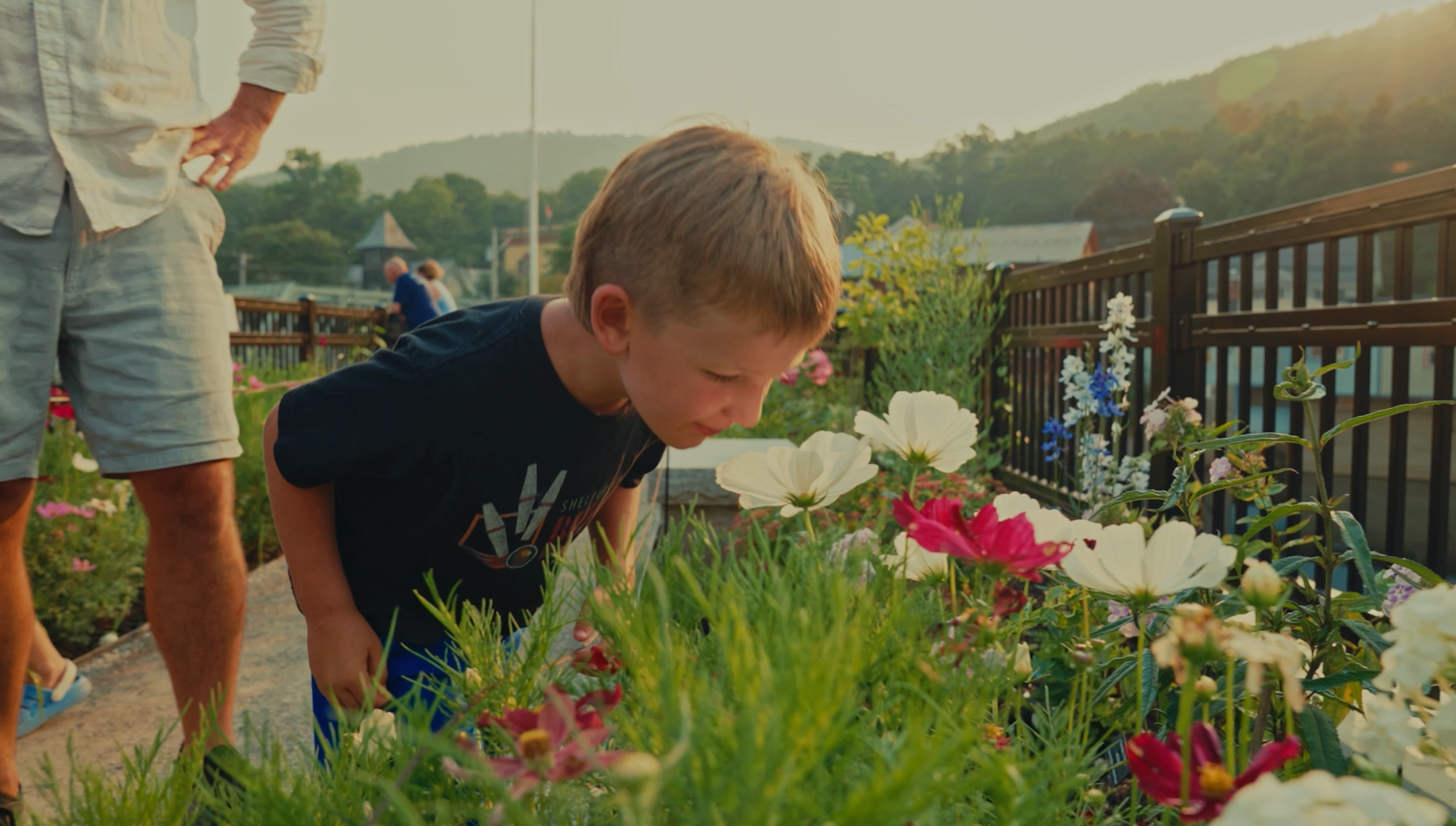 A young boy looking closely at colorful flowers in a garden with an adult beside him, on a sunny day with a scenic mountain backdrop.