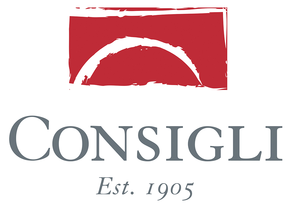 The logo of a company named 'Consoli', established in 1905, featuring a red abstract design or symbol above the company name.