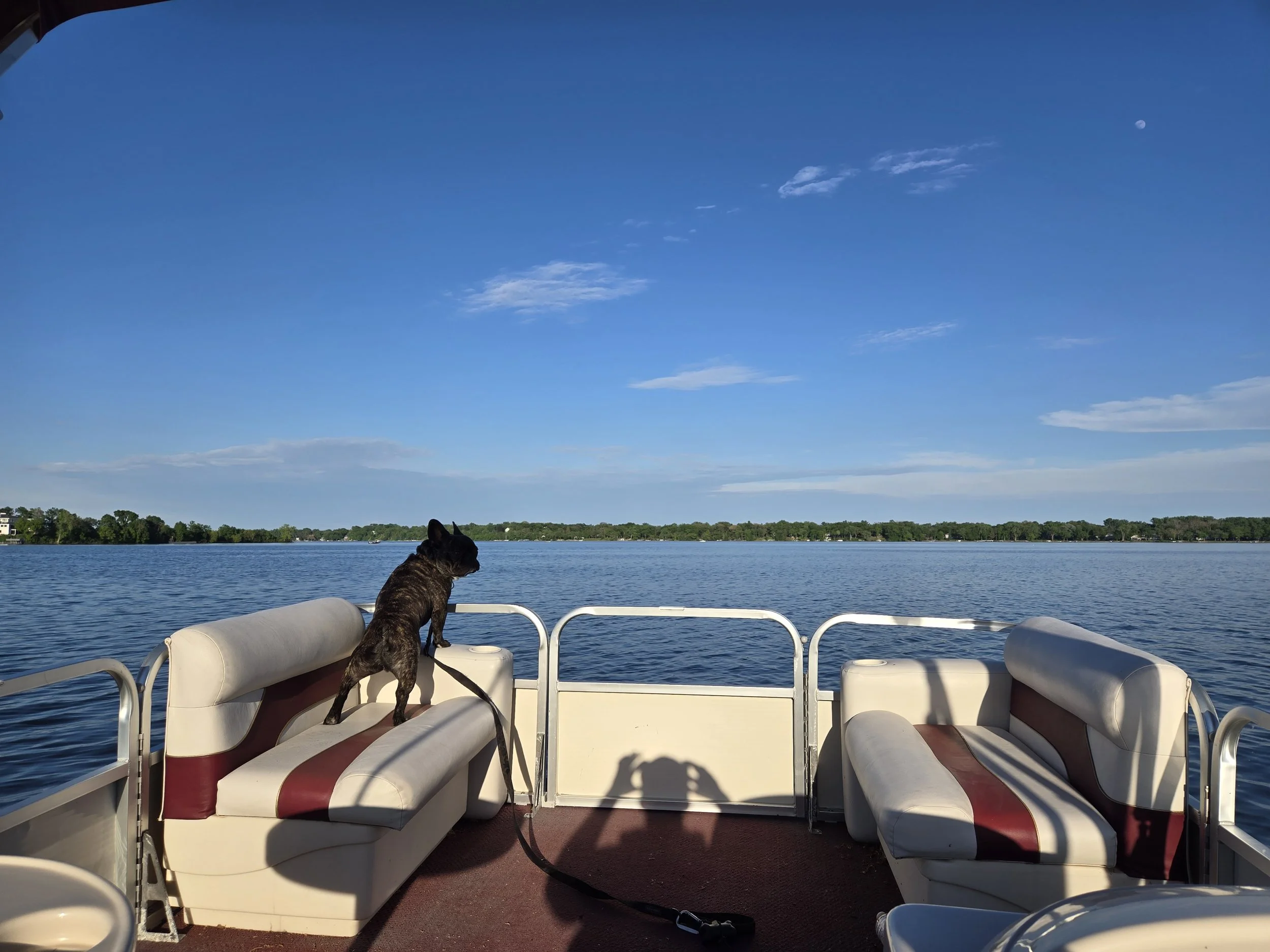 View from a boat with white cushioned seats and a black dog sitting on one of the seats, overlooking a calm lake with a distant treeline and a blue sky with some clouds and the moon.