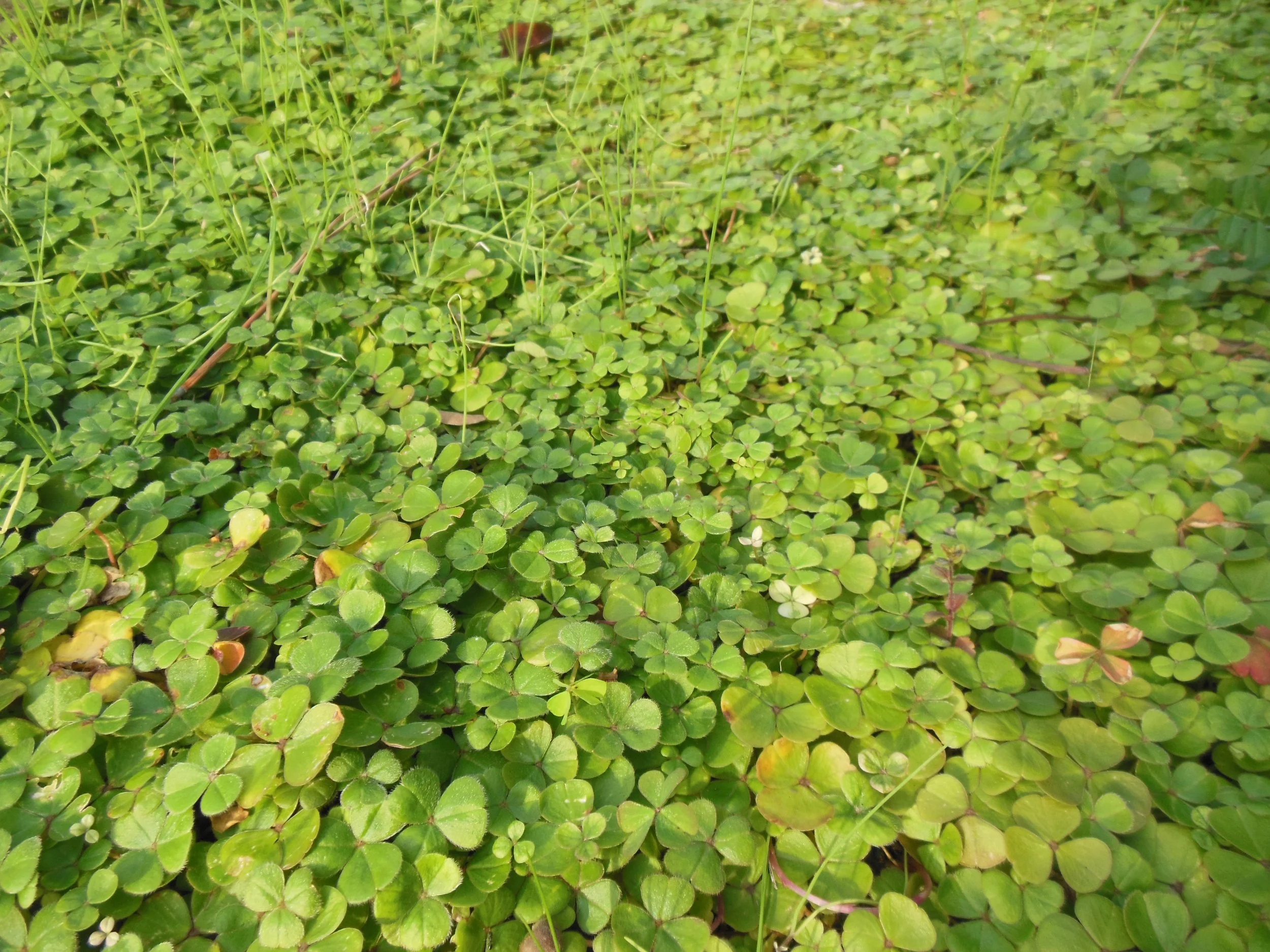 DSCN1945.JPG