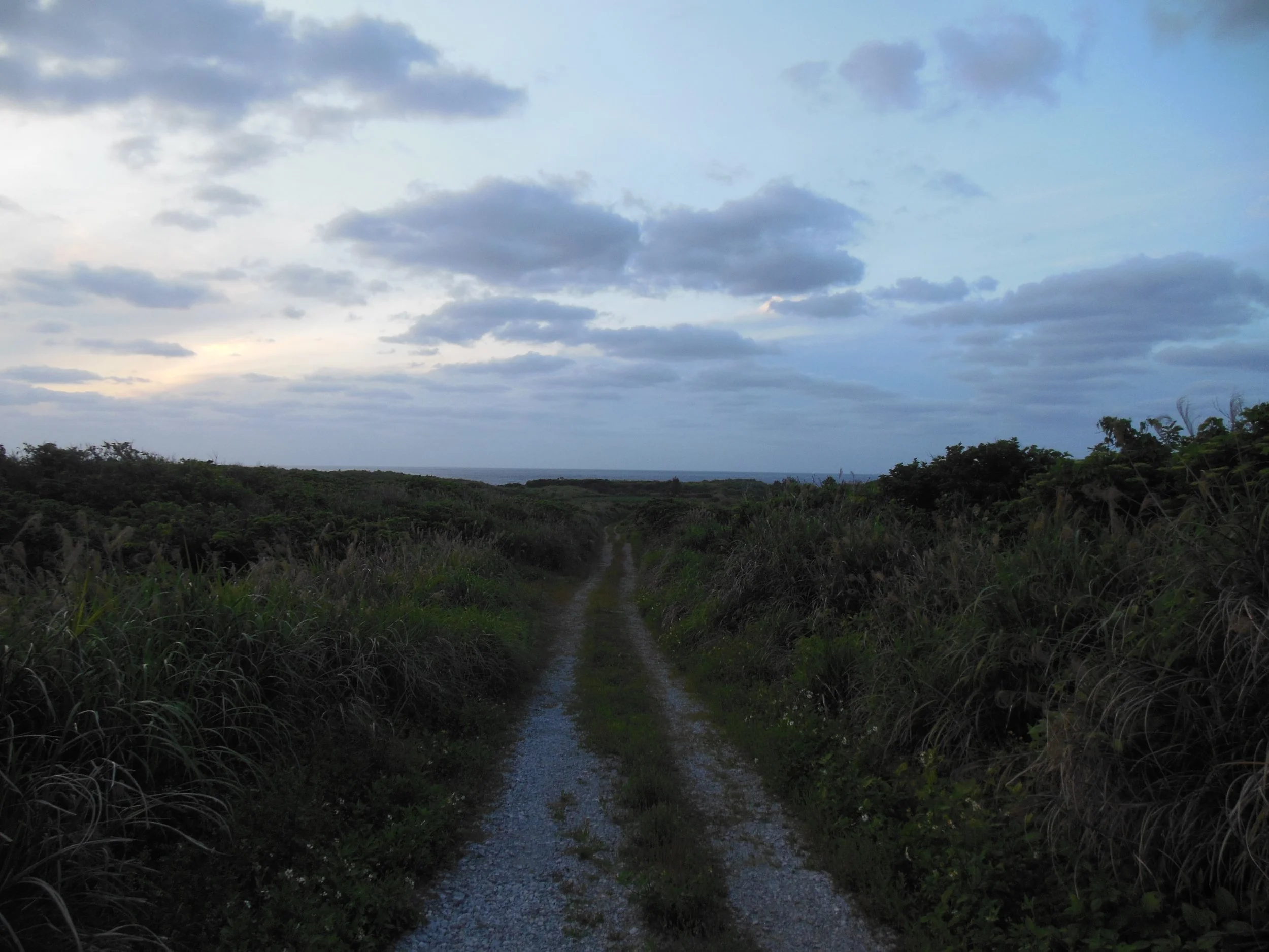 DSCN2514.JPG