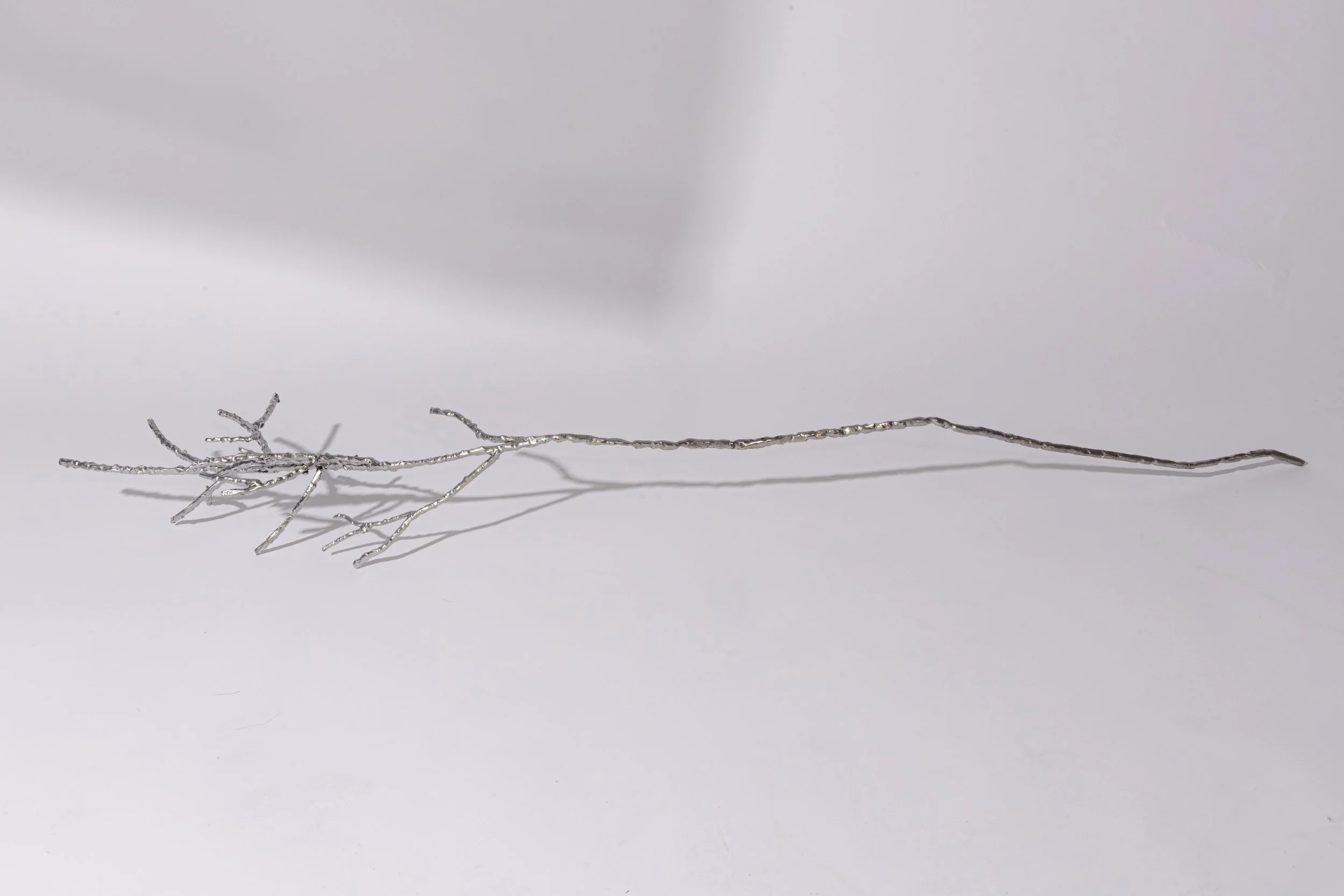 branch-2.jpg