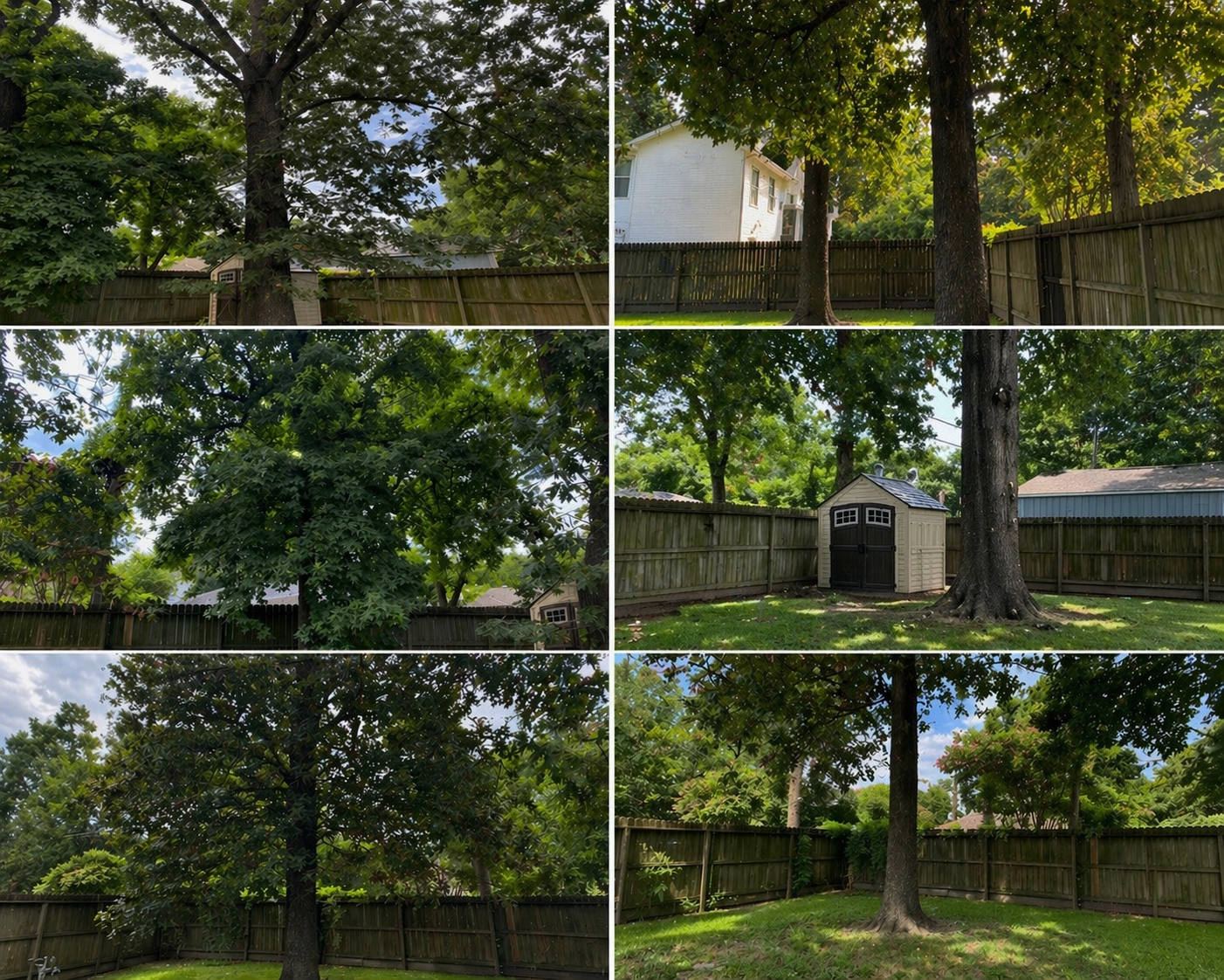 Tree Trimming.png
