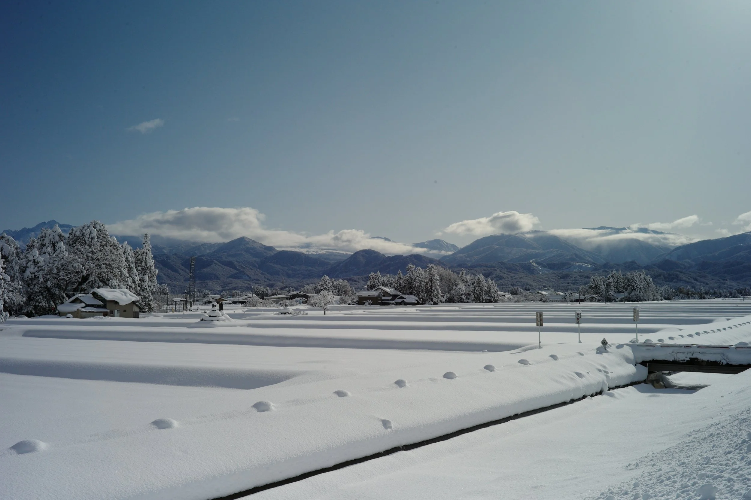L1001628.JPG