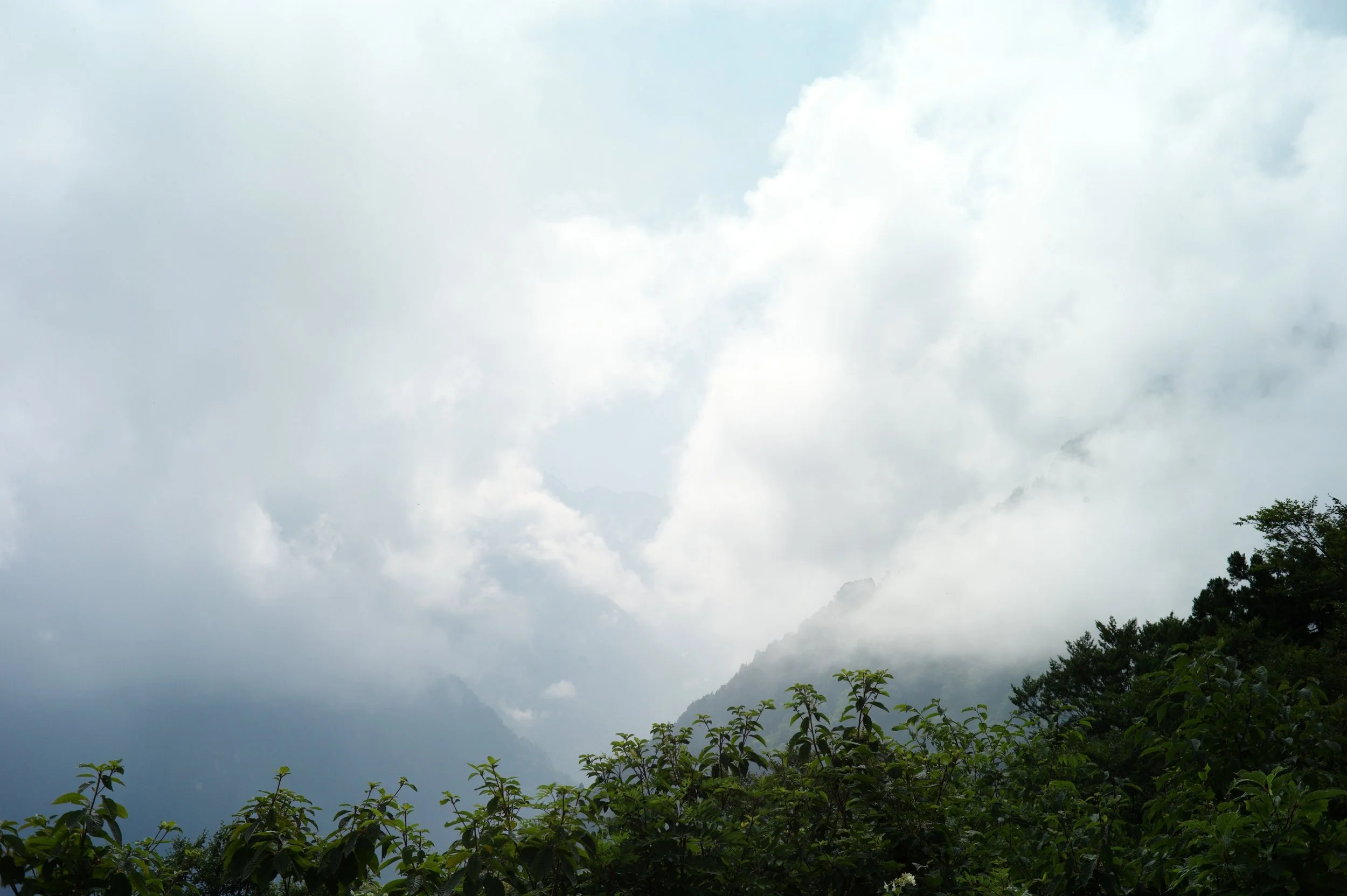 L1000687.JPG