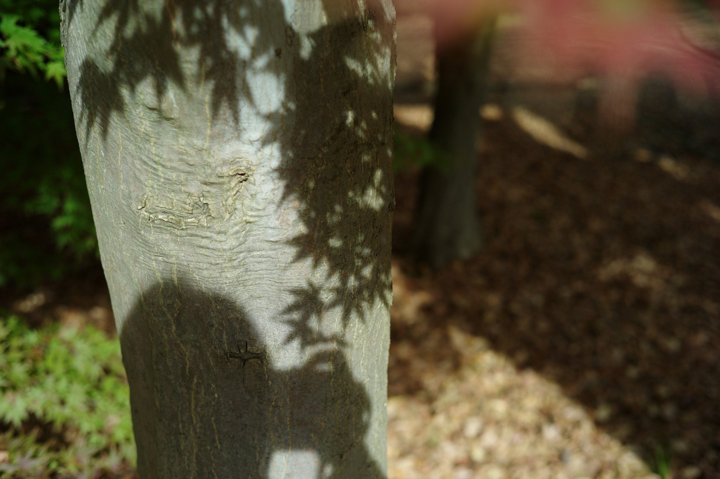 L1001214.JPG