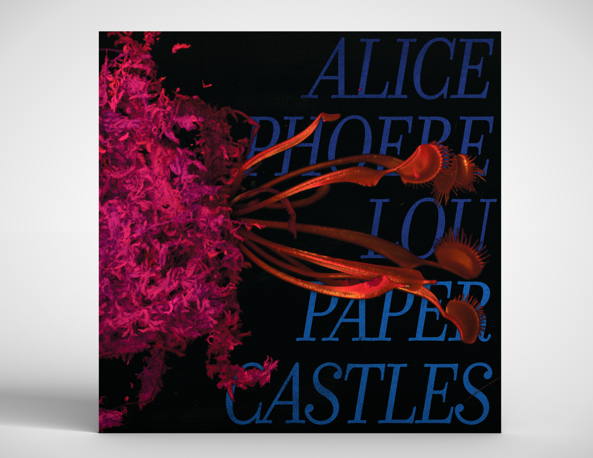 Alice Phoebe Lou Record