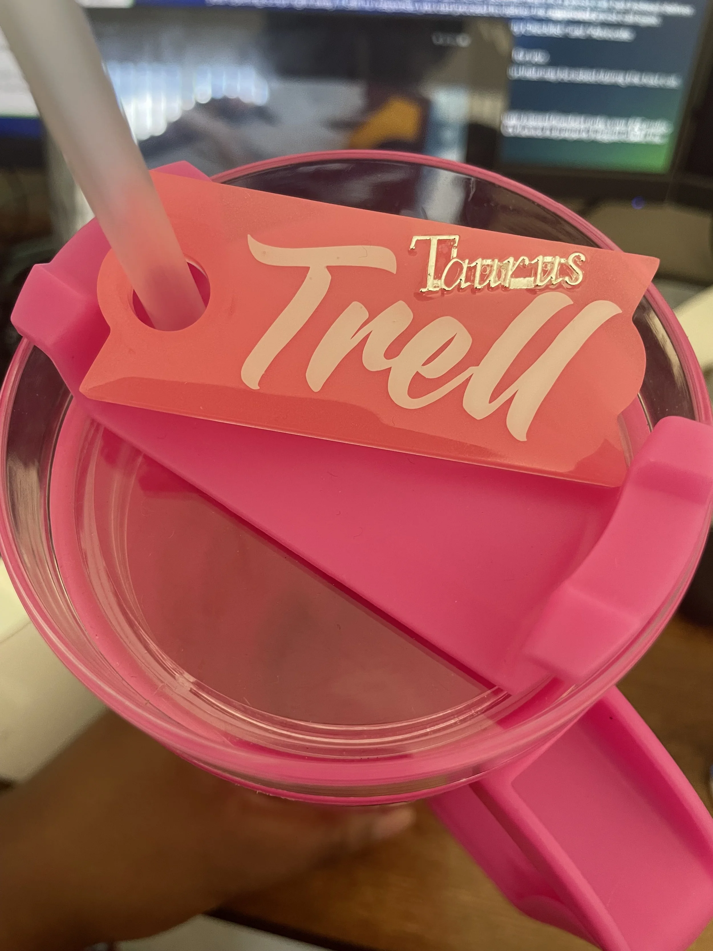 Stanley Cup Straw Buddy