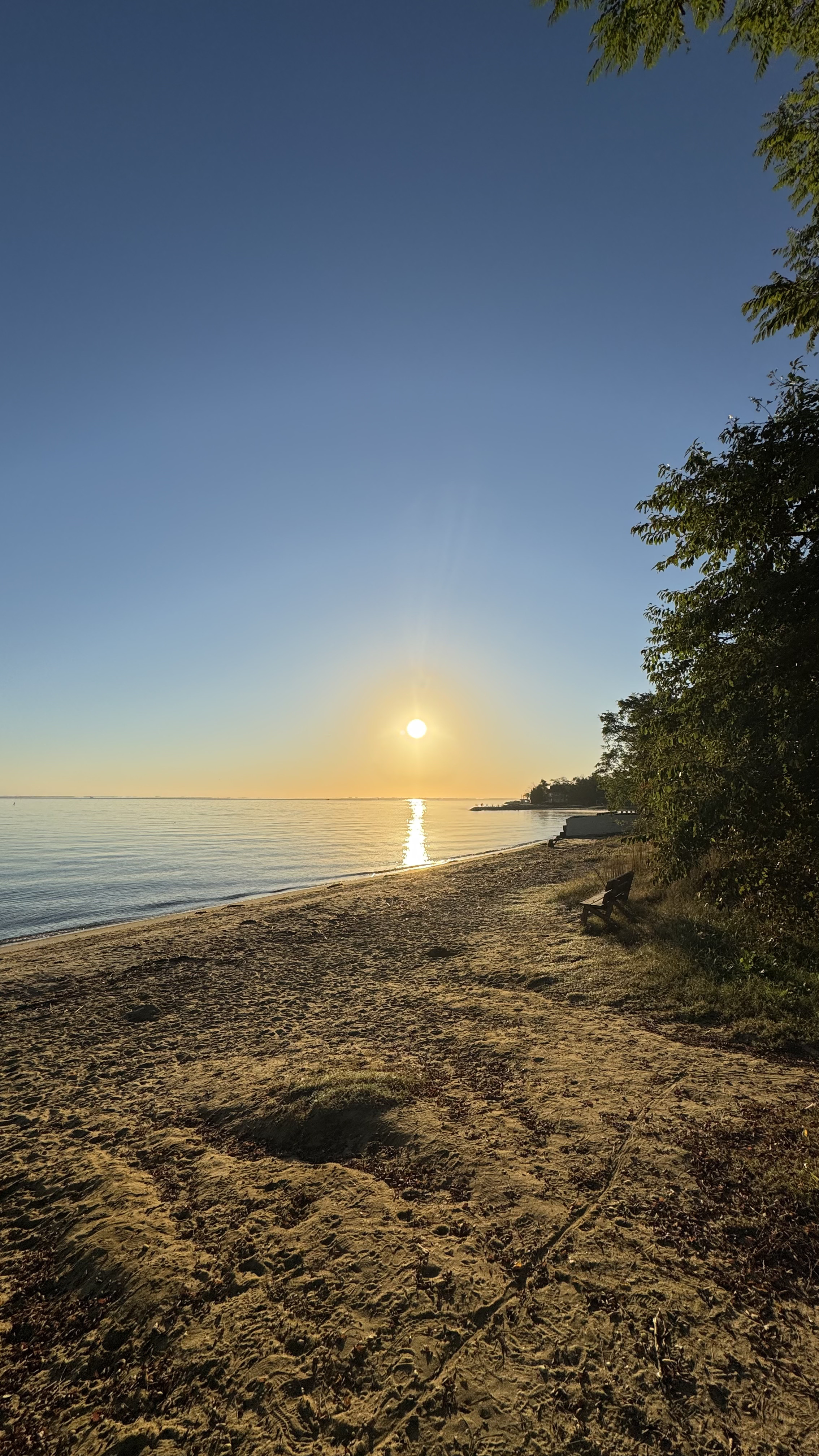 Sunset over a calm beach with sandy shore, trees on the right, and a bench near the water.