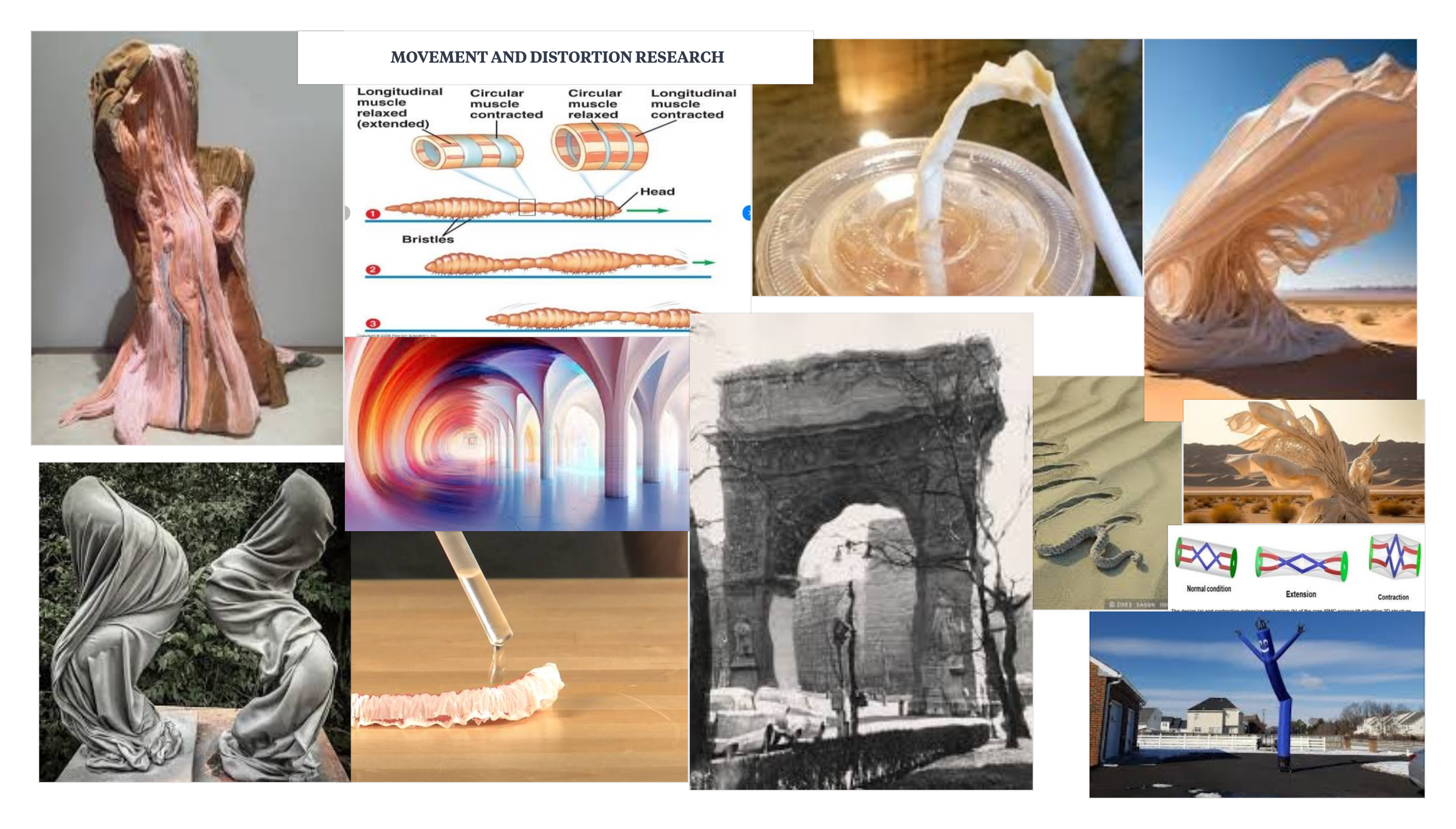 Movement and DIstortion.png