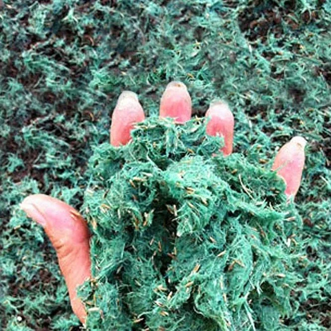 Vegetation Management