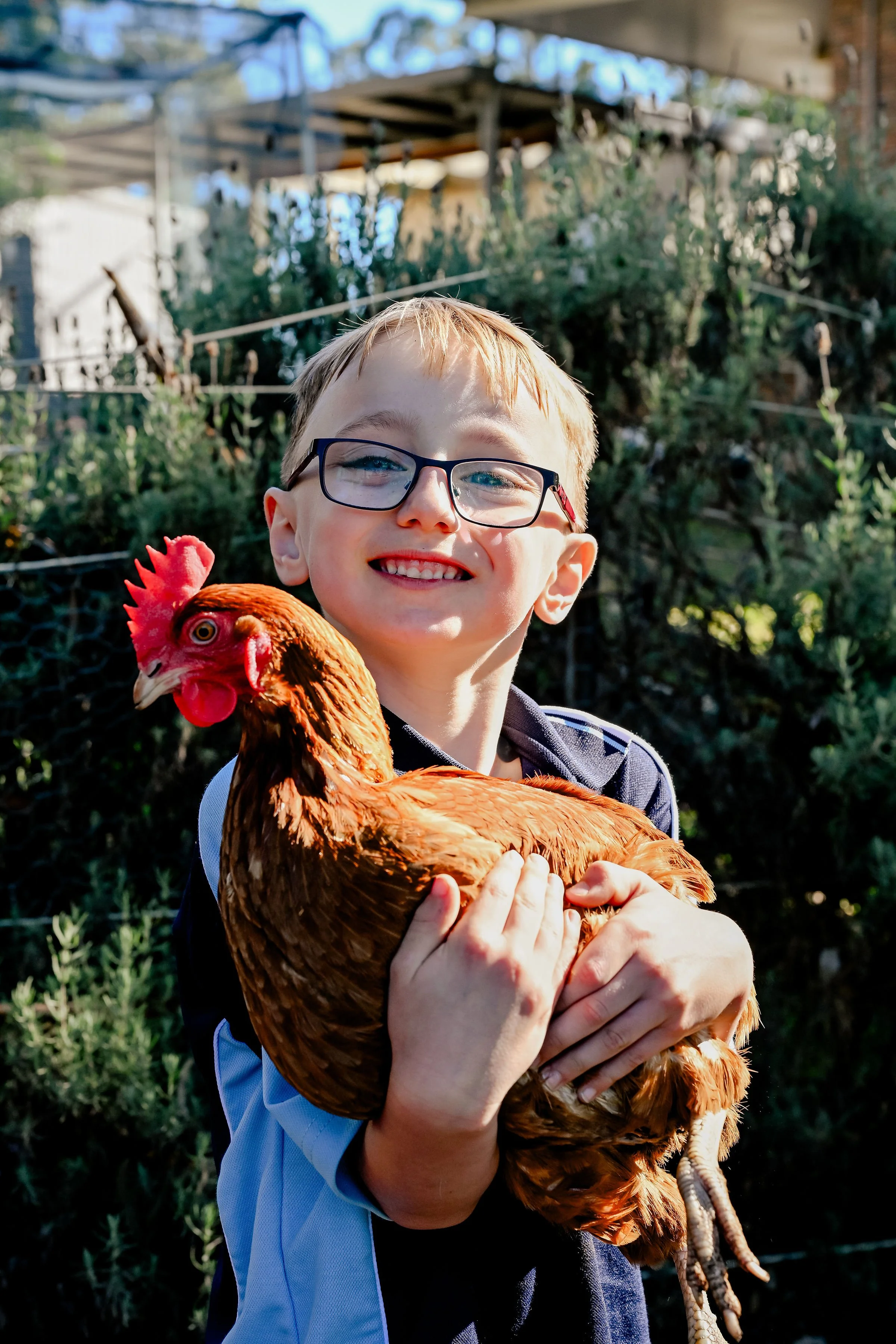A young boy with glasses smiling and holding a large red chicken outdoors with greenery and a wooden structure in the background.