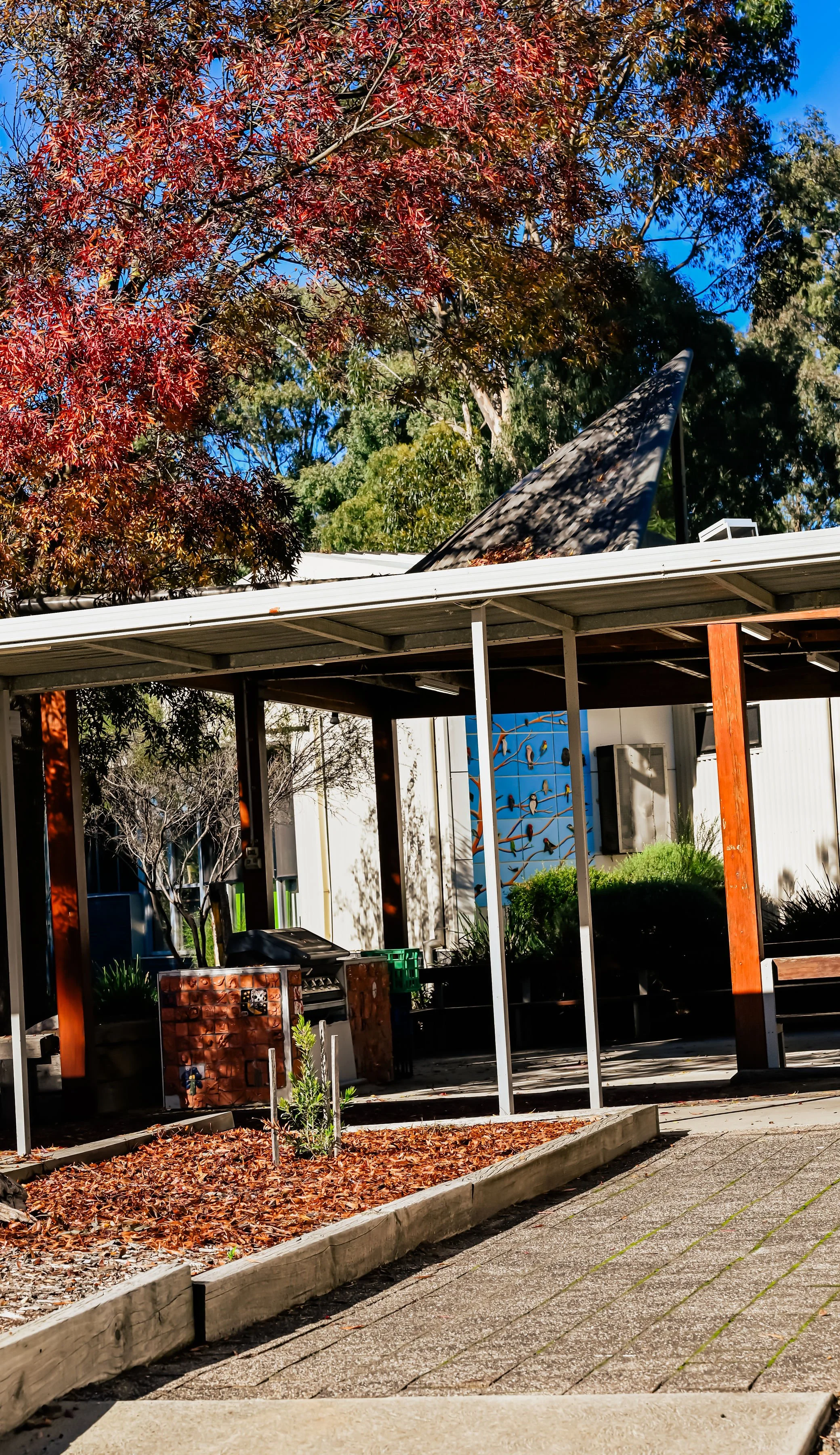 An outdoor patio area with a metal roof, grill, and a small garden bed with fallen leaves. There is a tree with red leaves and a building with a blue mural and air conditioning units in the background.