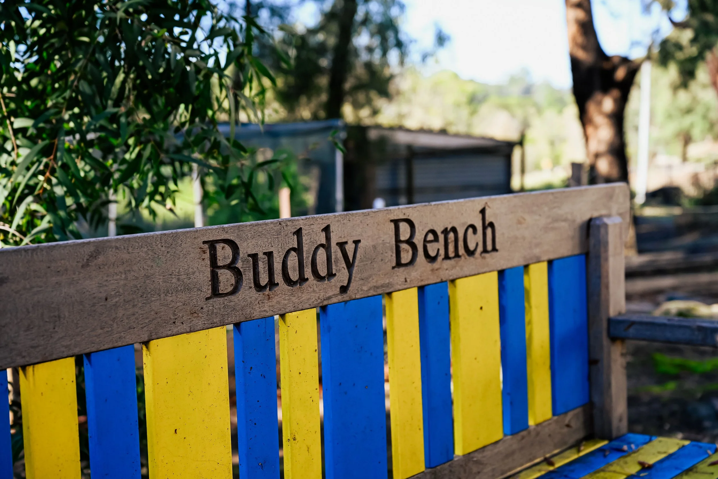 Wooden bench with yellow and blue vertical slats, the top of the bench has a sign that reads 'Buddy Bench', surrounded by trees and green foliage in a park or outdoor setting.