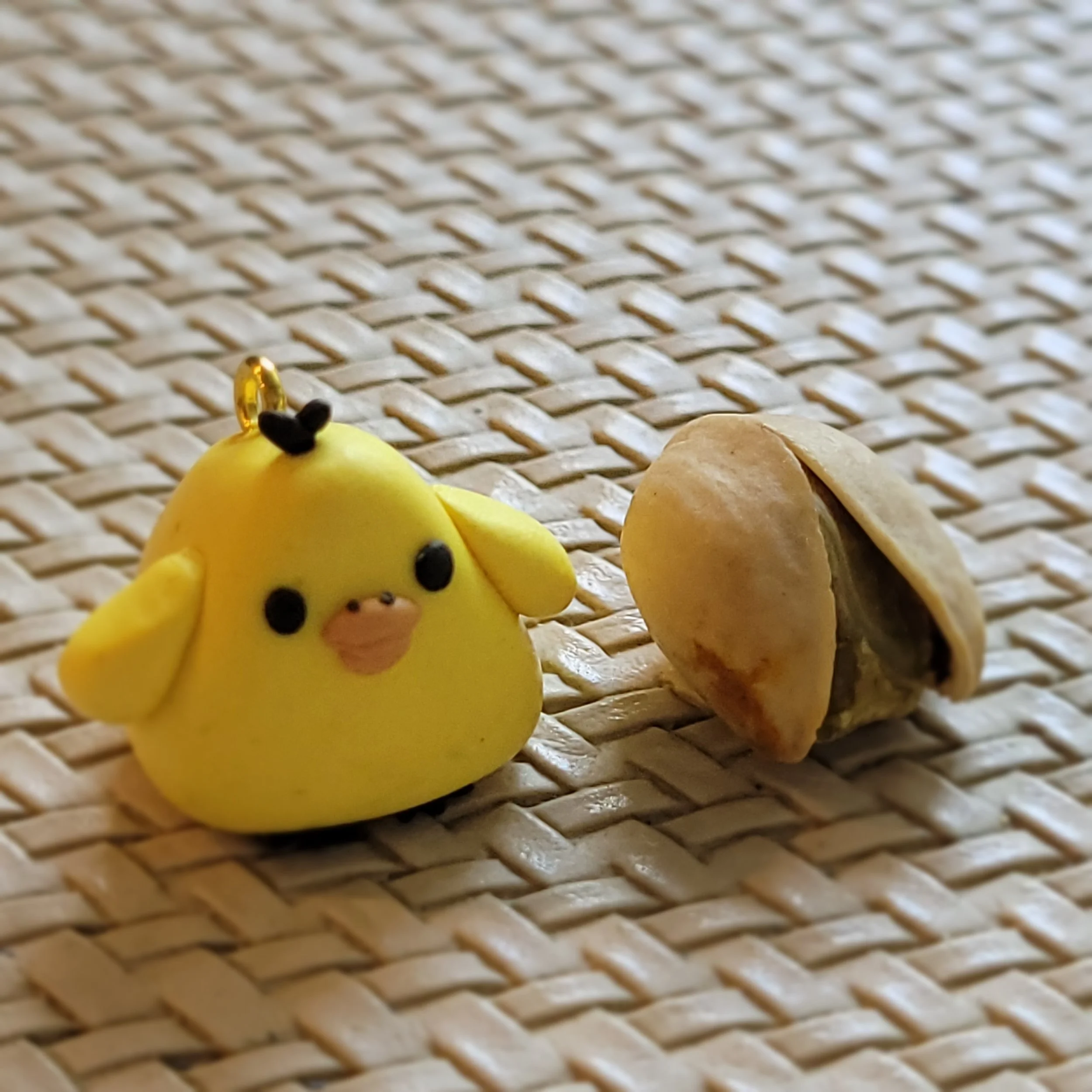 Pipikumo_size.jpg