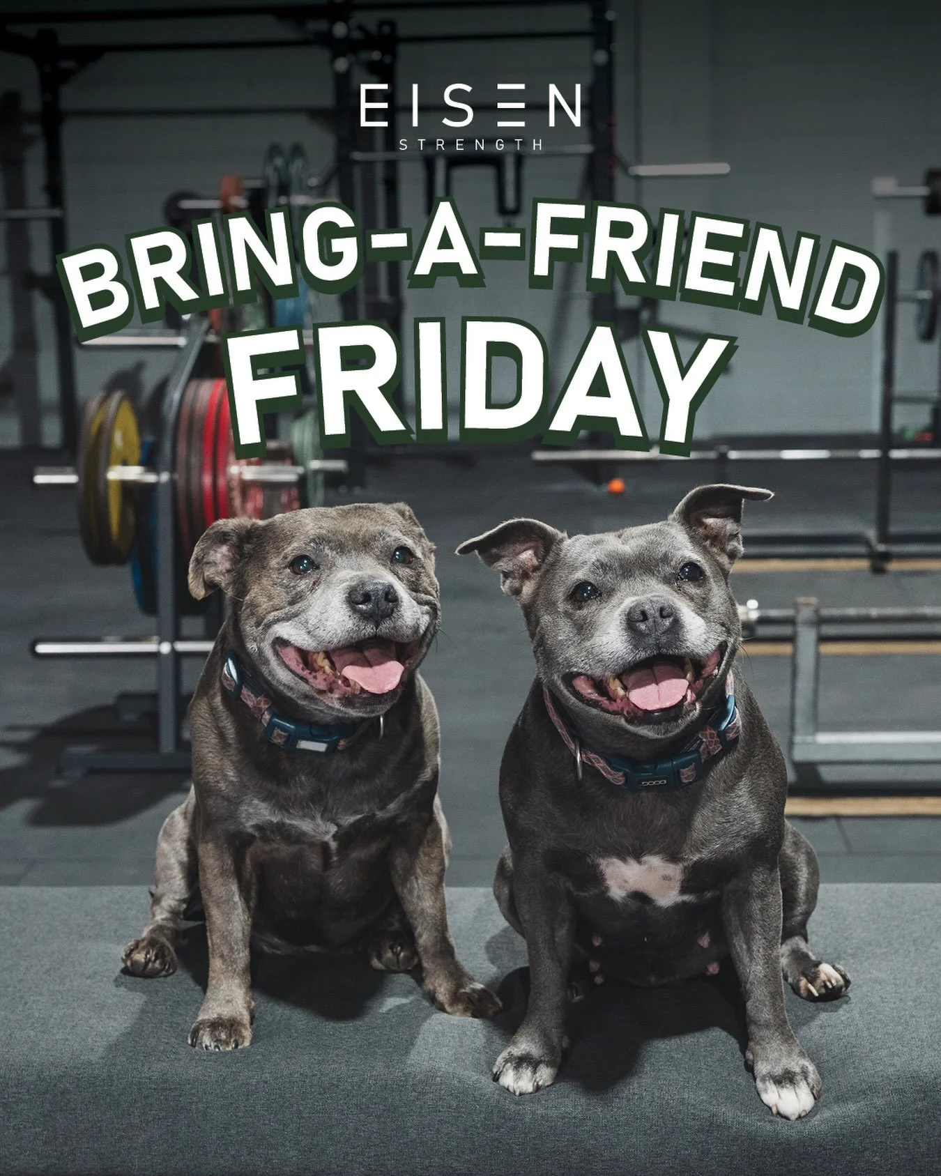 Starting this Friday September 18th, we will be running Bring-A-Friend Friday*! 

Members can bring a friend along to train with them for free between 4-8pm

*Strictly human friends