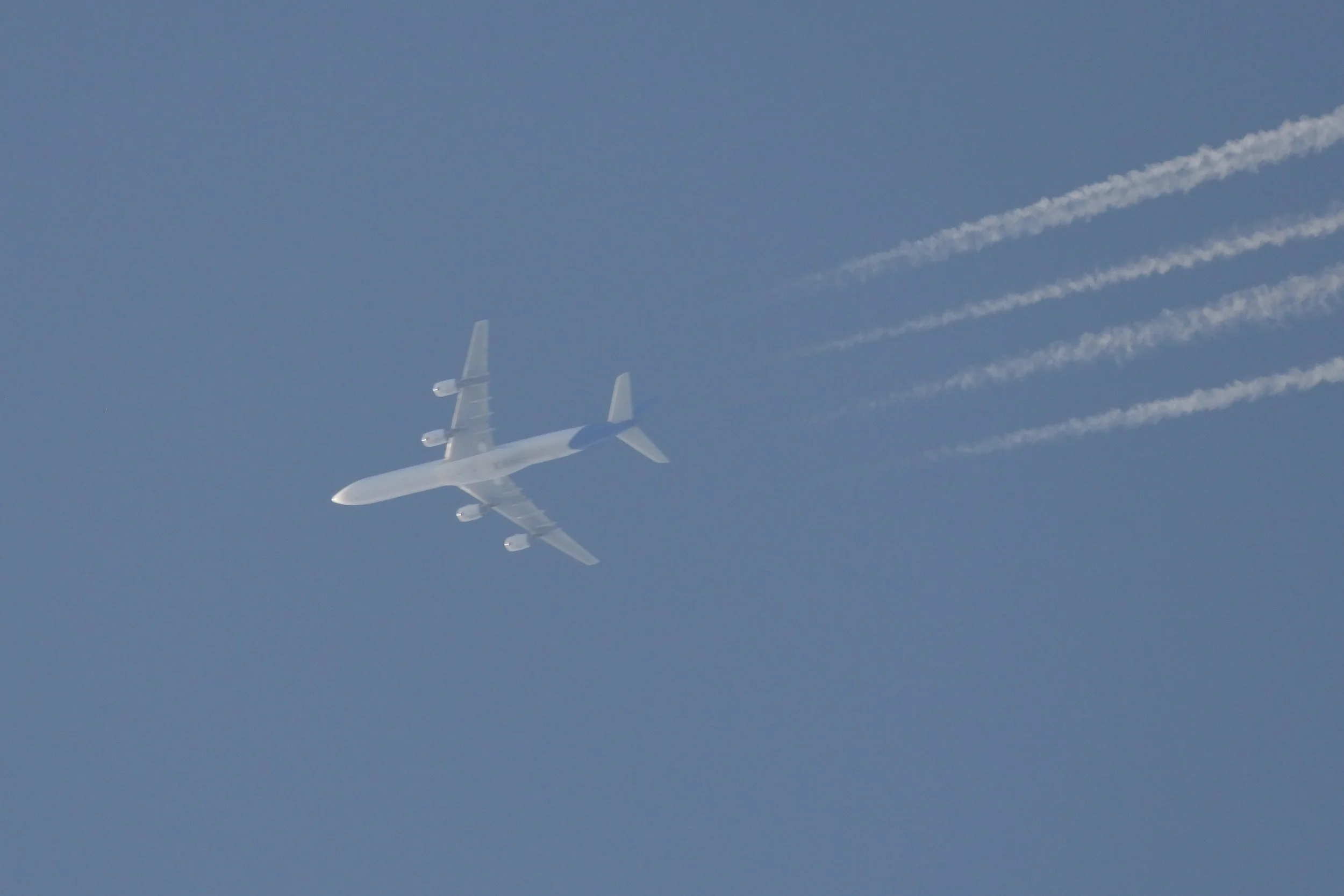 DSCF4891.JPG