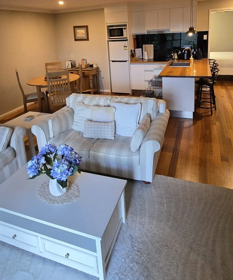 Livingroom and kitchen cleaning