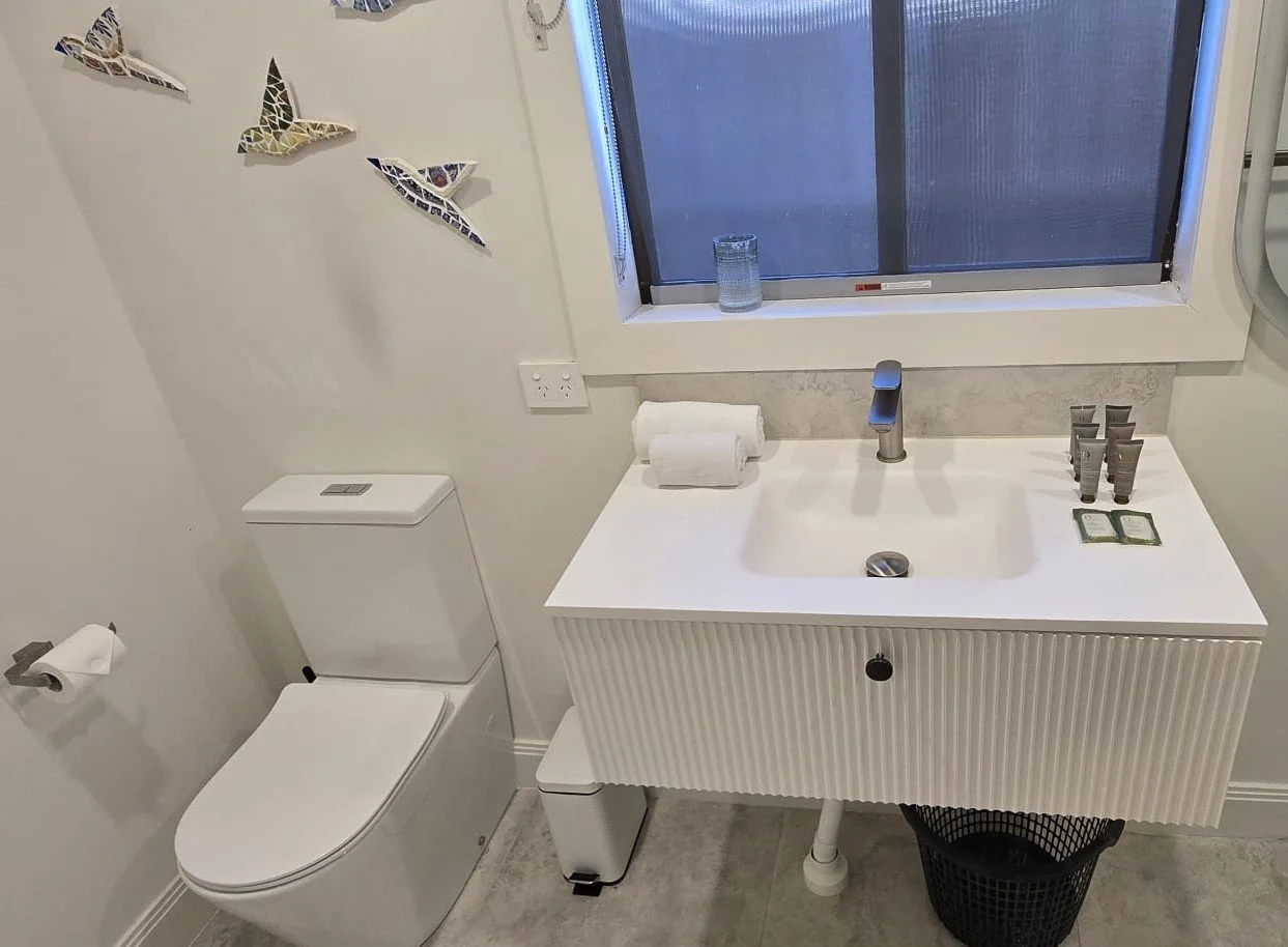 Toilet cleaning and sanitisation