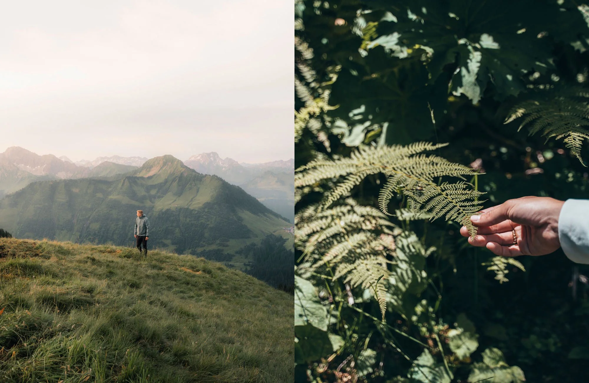 Wandern in den Bergen – Bregenzerwald