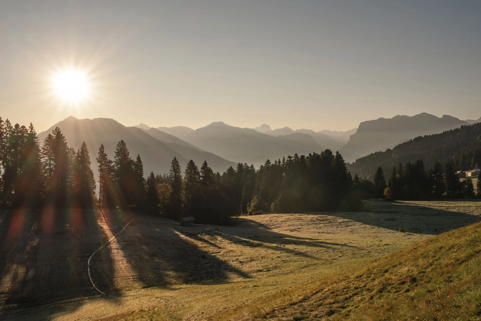 Sonnenaufgang – Bödele